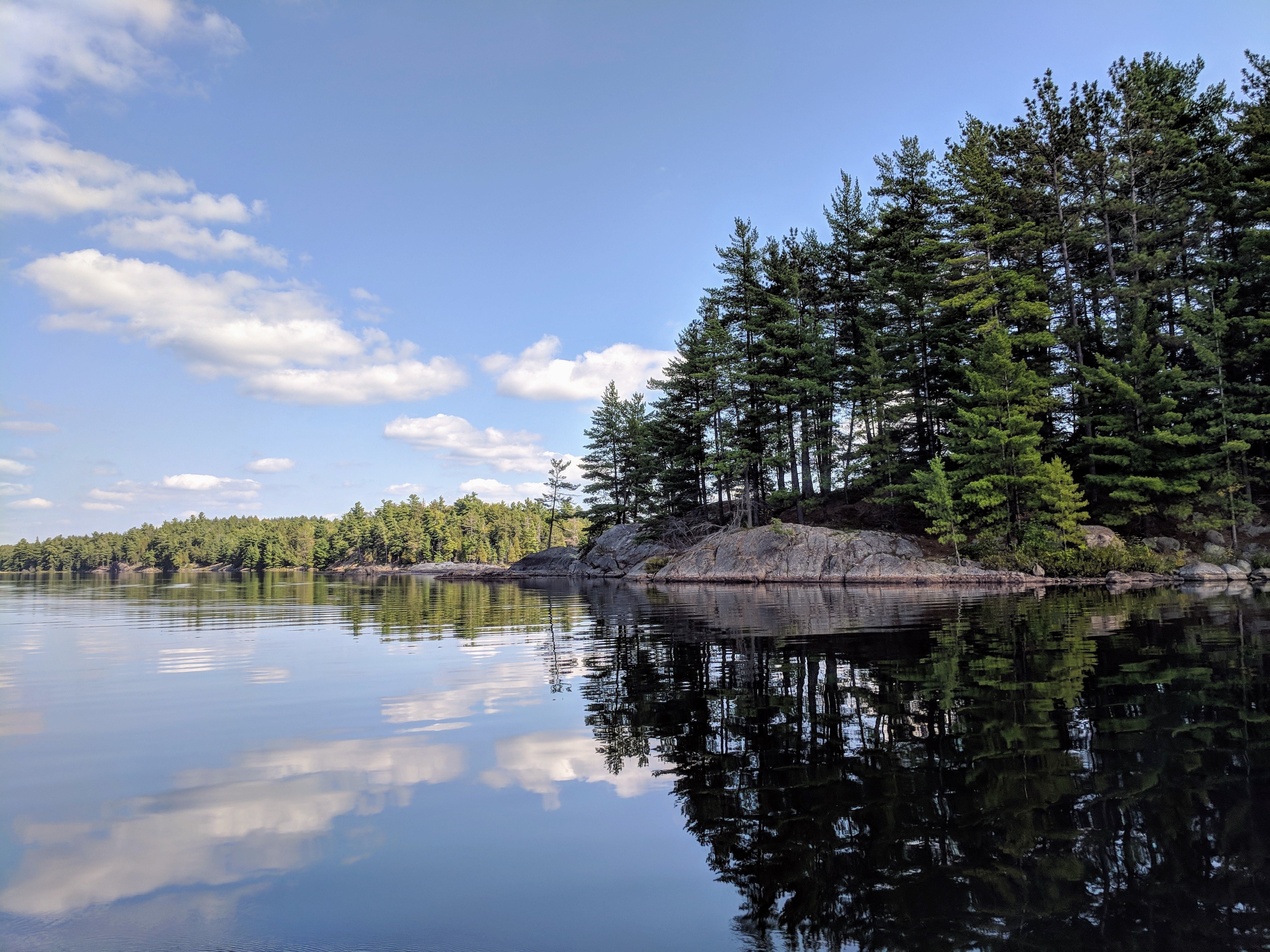 Photo : des arbres projettent leurs ombres sur l eau
