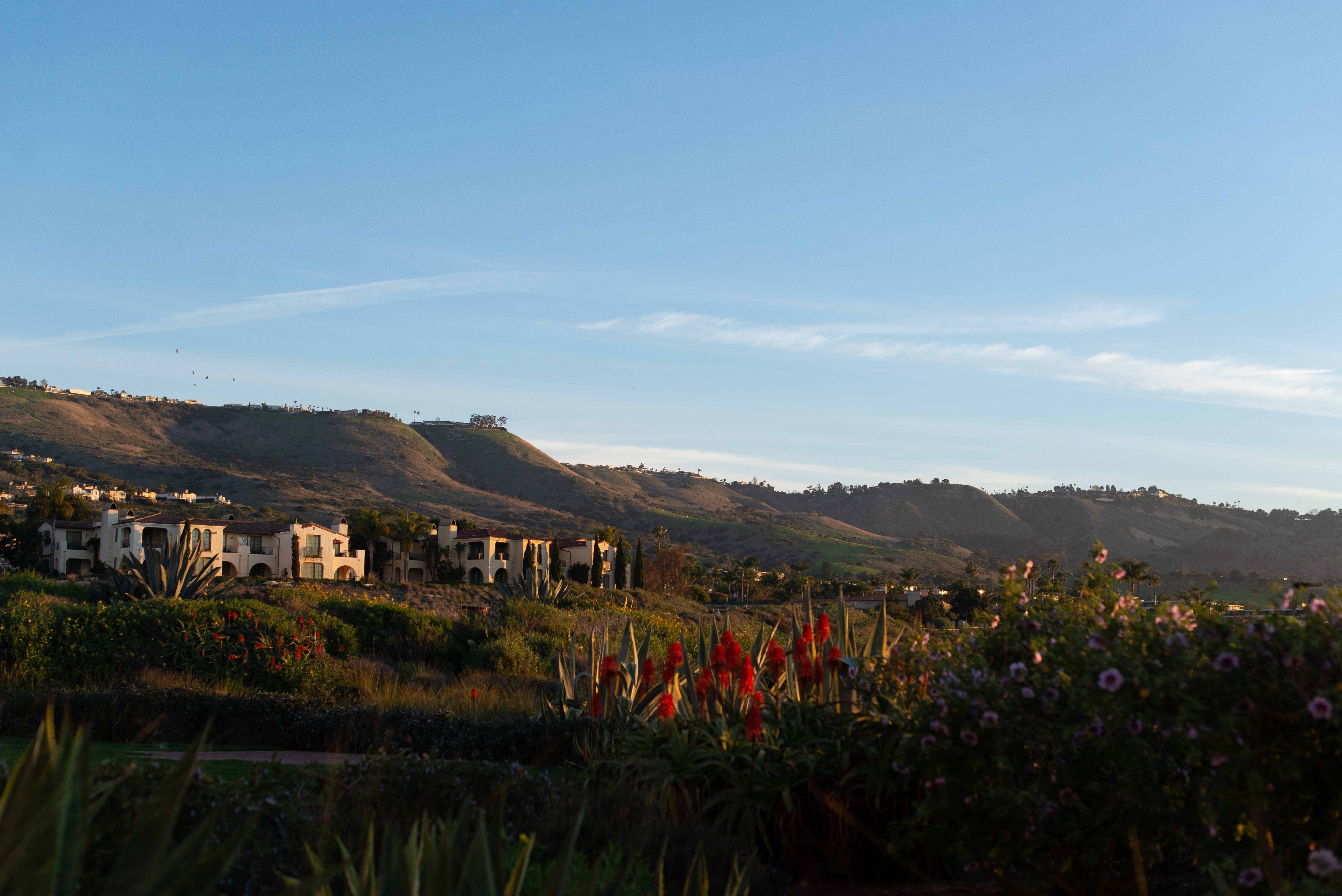 Photo : Collines ondulantes à l horizon au lever du soleil
