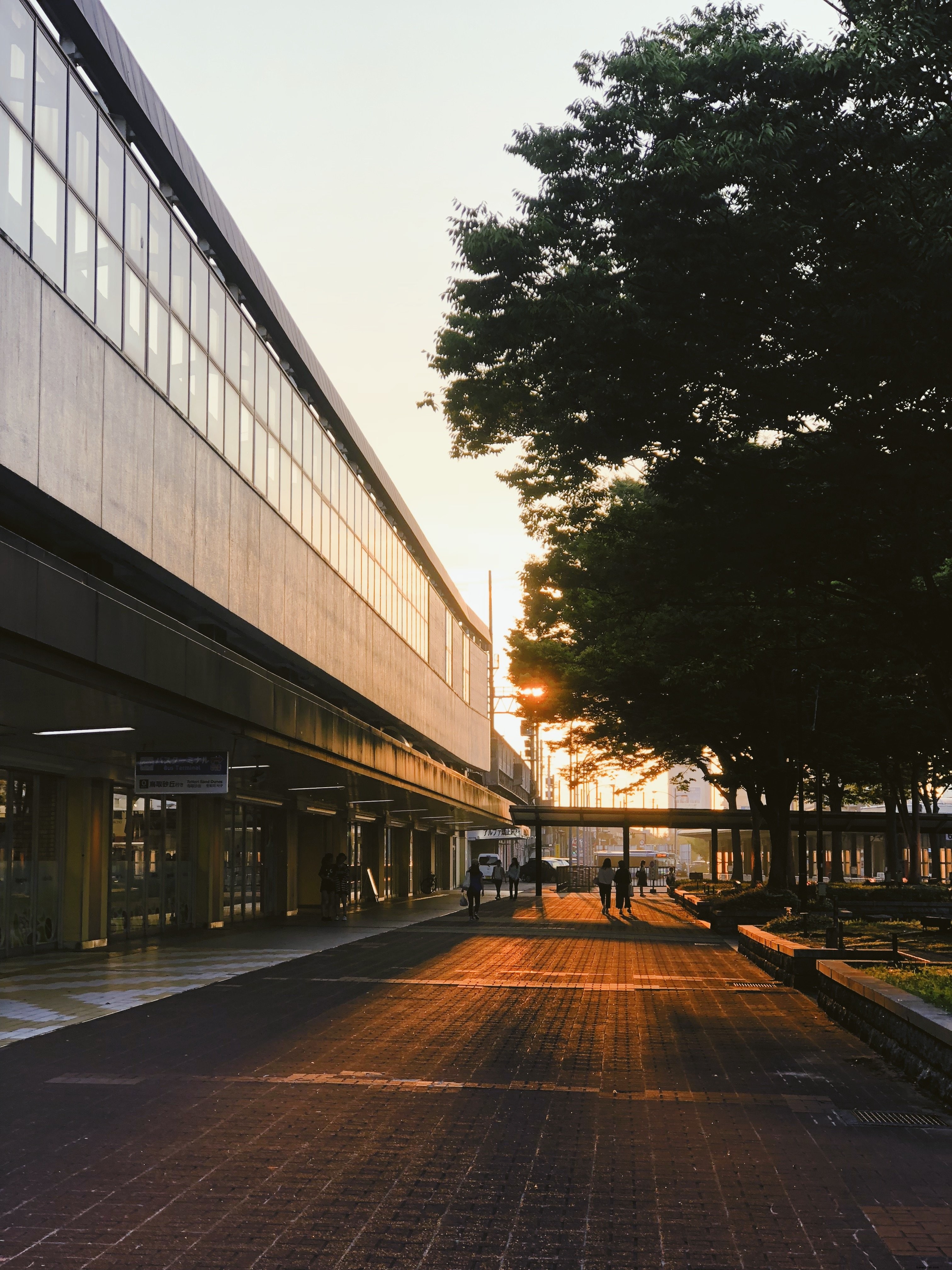 Terminal de bus au petit matin, éclairé par la lumière