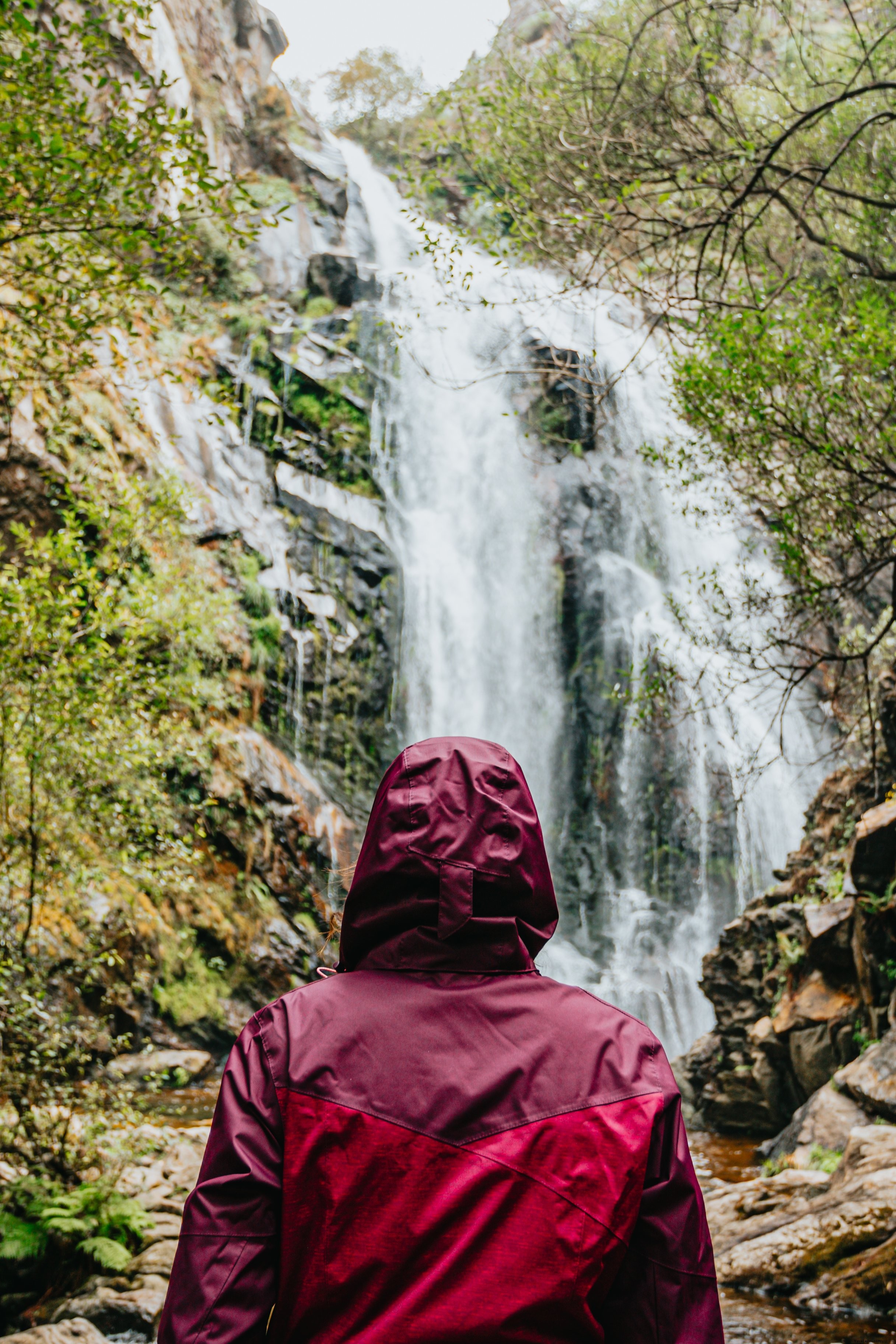 Un individu vêtu d un imperméable rouge contemple une immense photo de cascade
