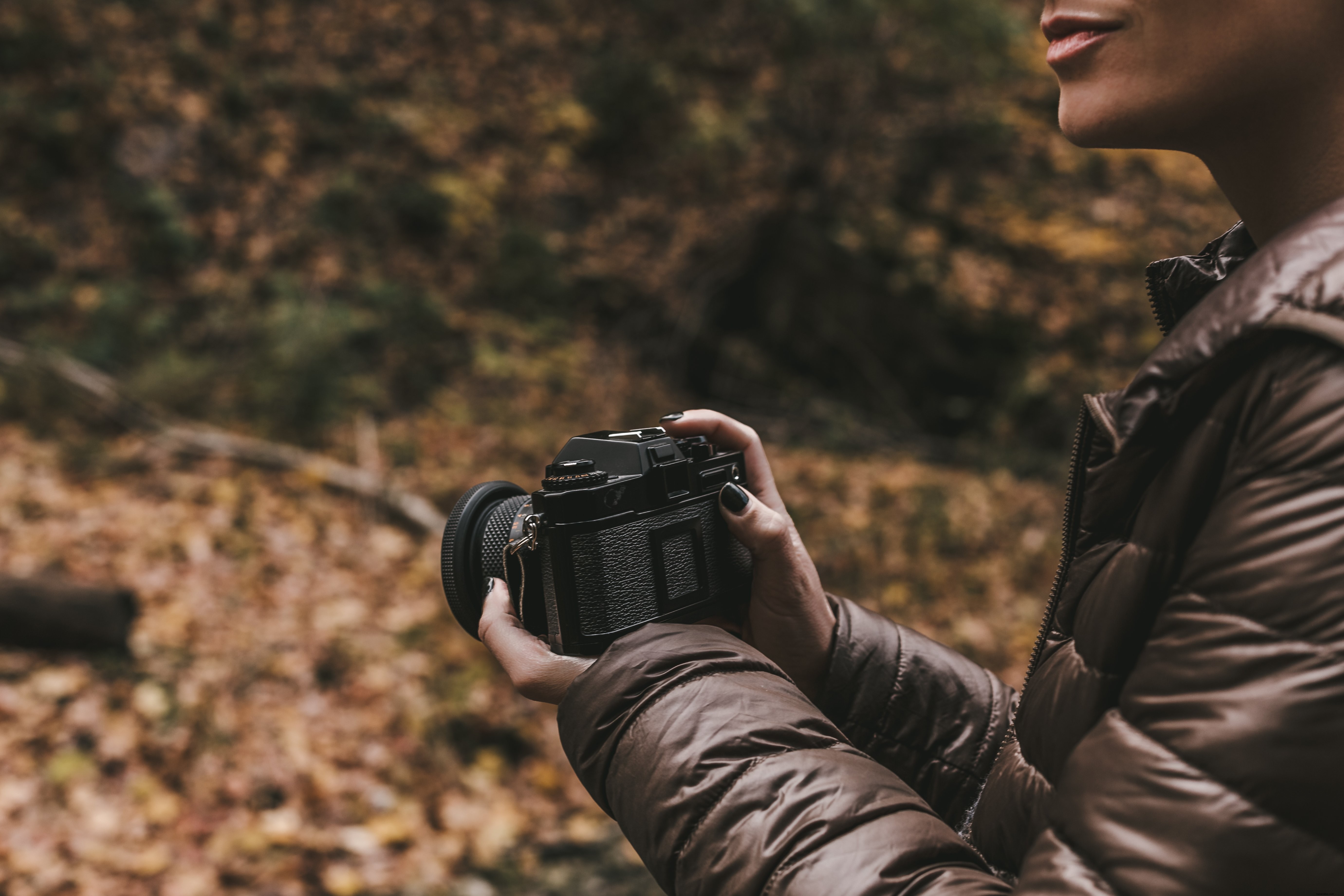 Photographies d automne