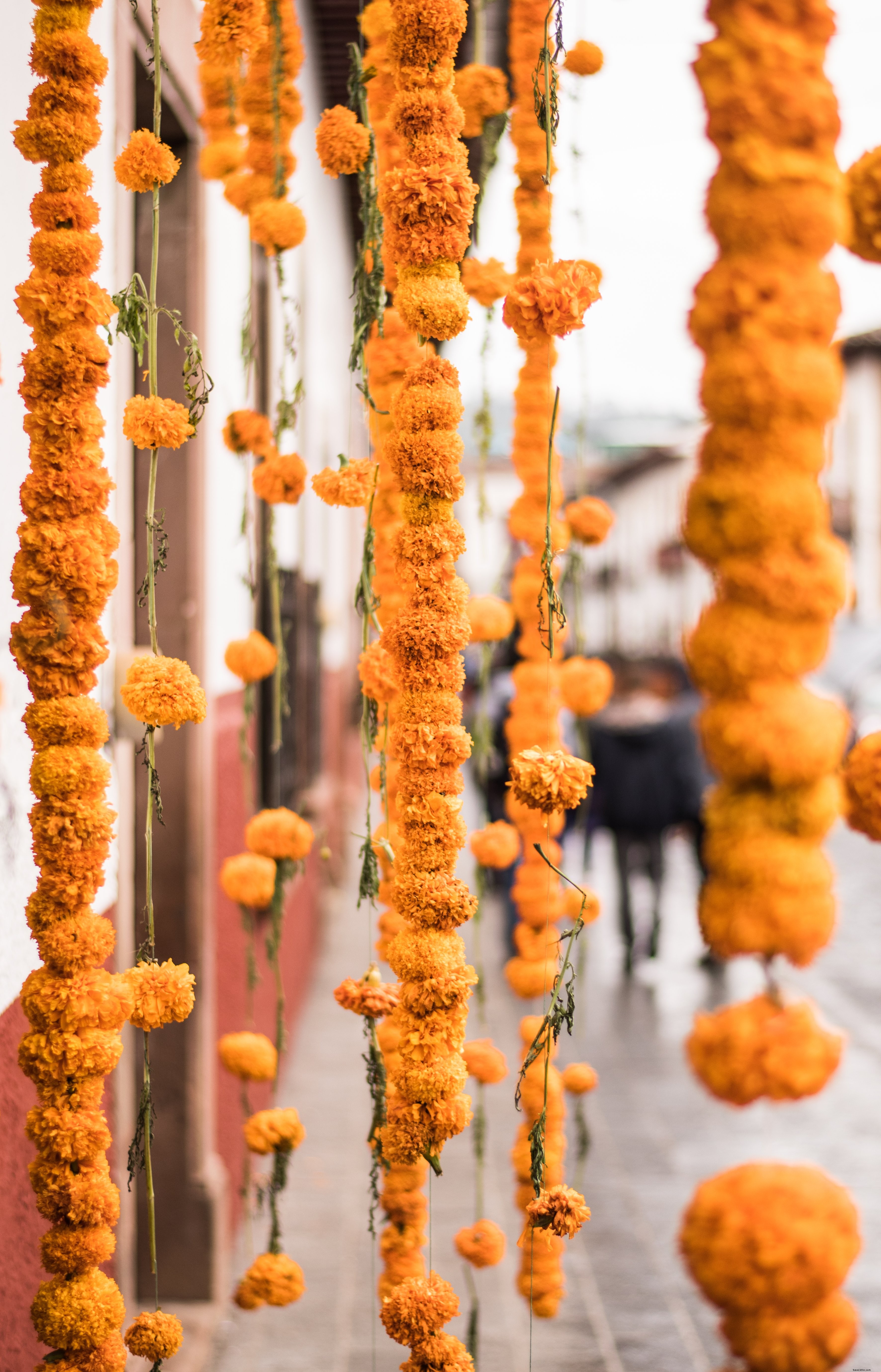 Chaînes de soucis accrochées dans la rue – Photo