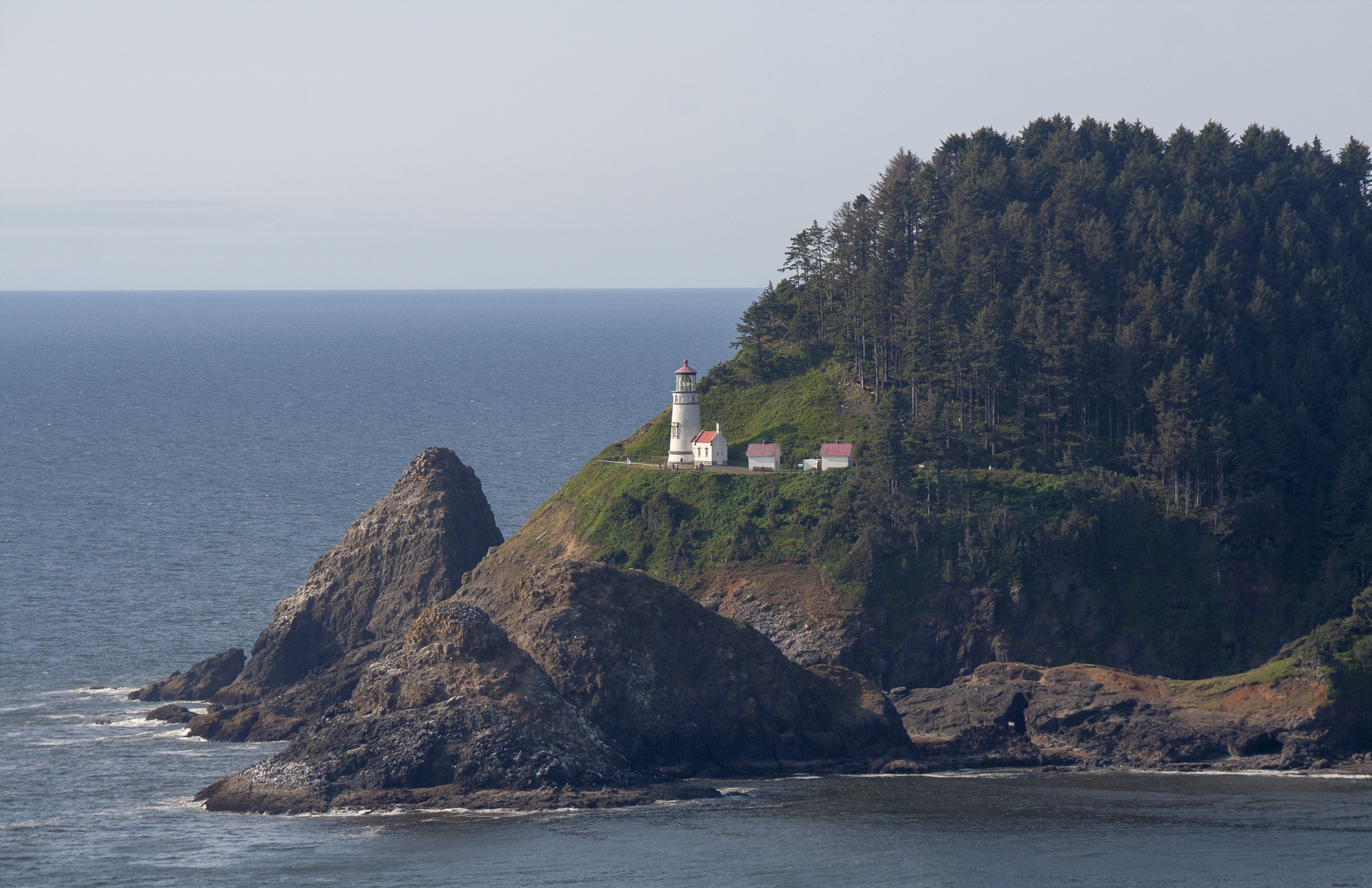 Photo d’un phare perché sur une péninsule boisée