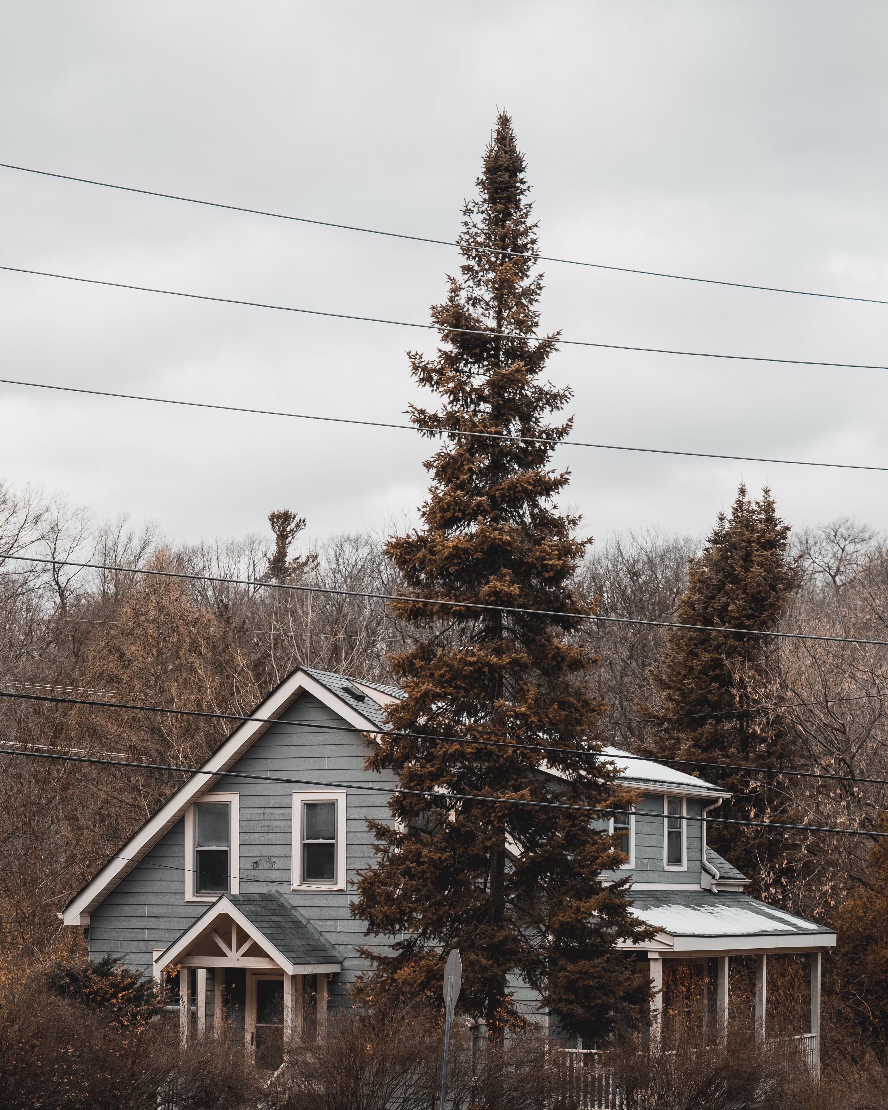 Photo d’une cabane grise nichée dans les bois