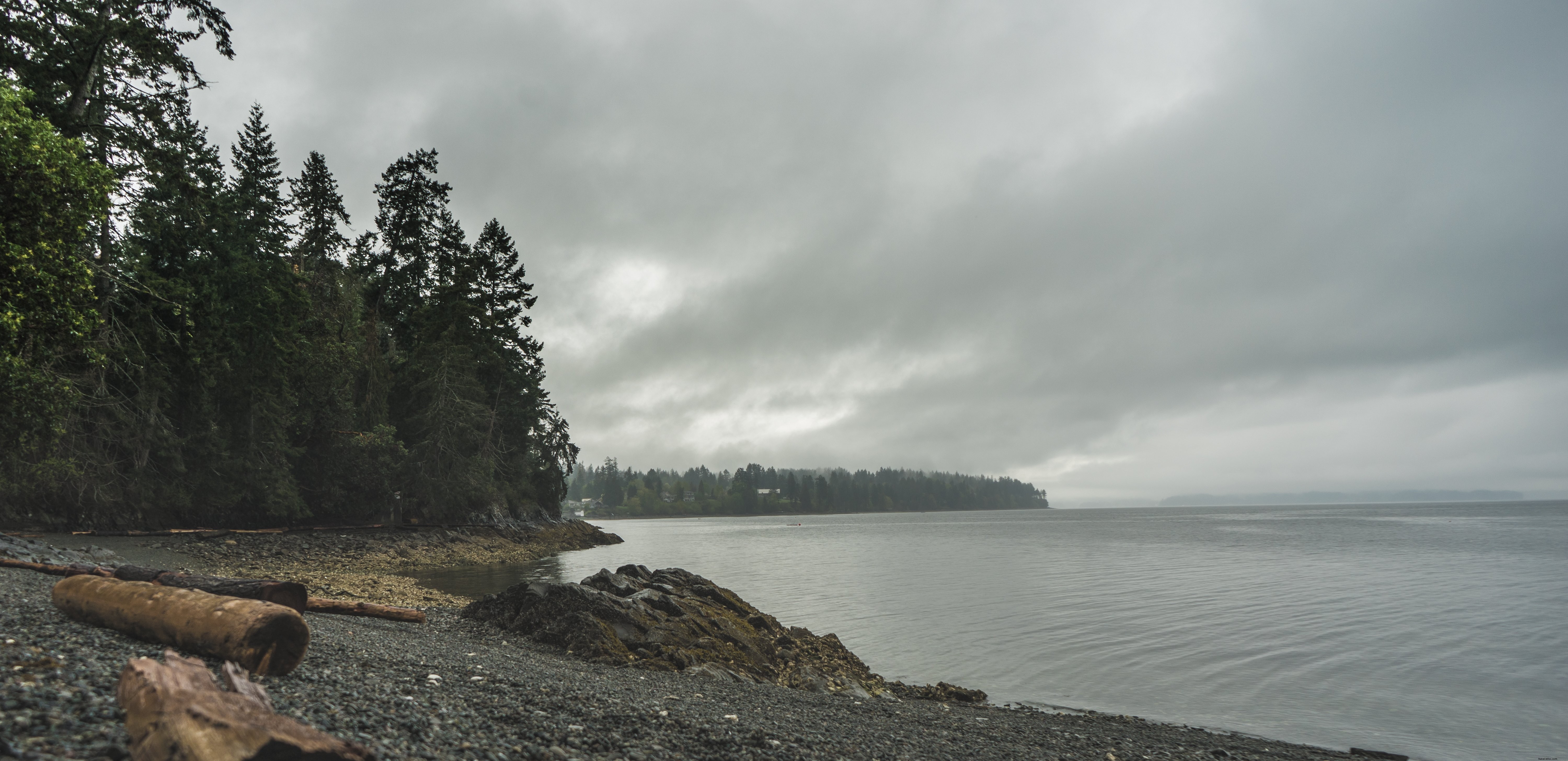 Photo d’une plage de gravats bordée d’arbres gris et frais