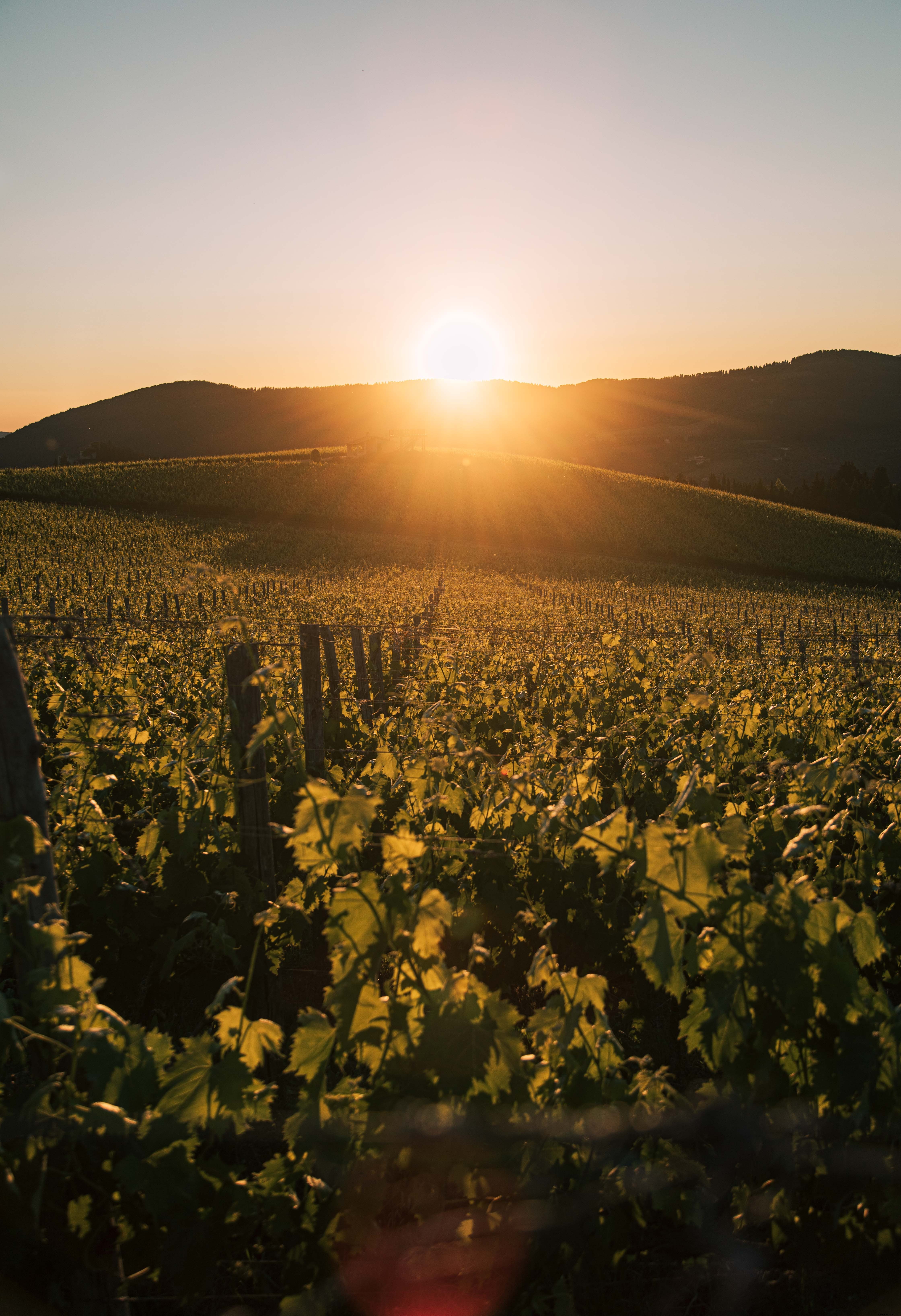 Éblouissante lumière du coucher de soleil sur les montagnes