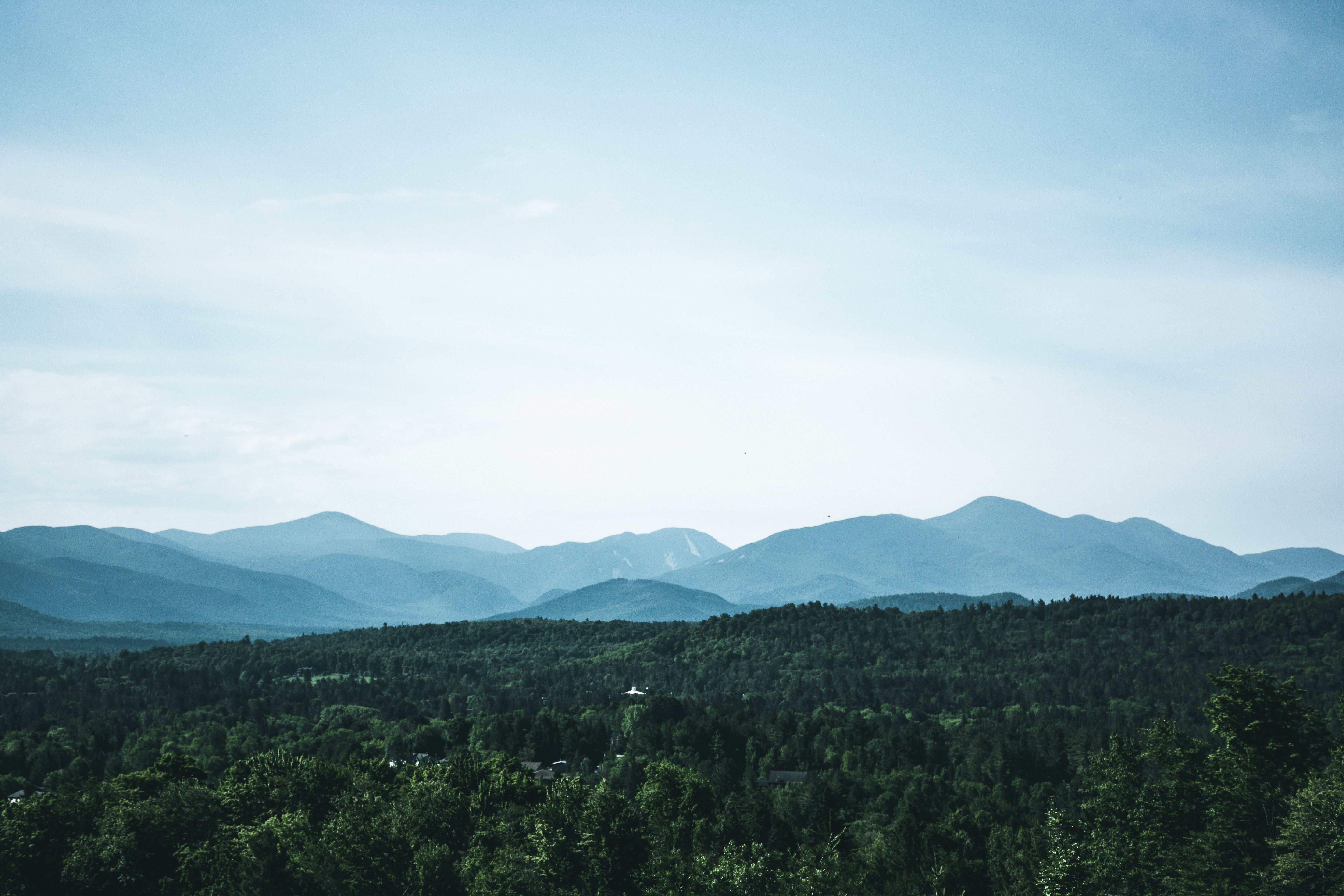 Des milliers de cimes d arbres sous un ciel bleu