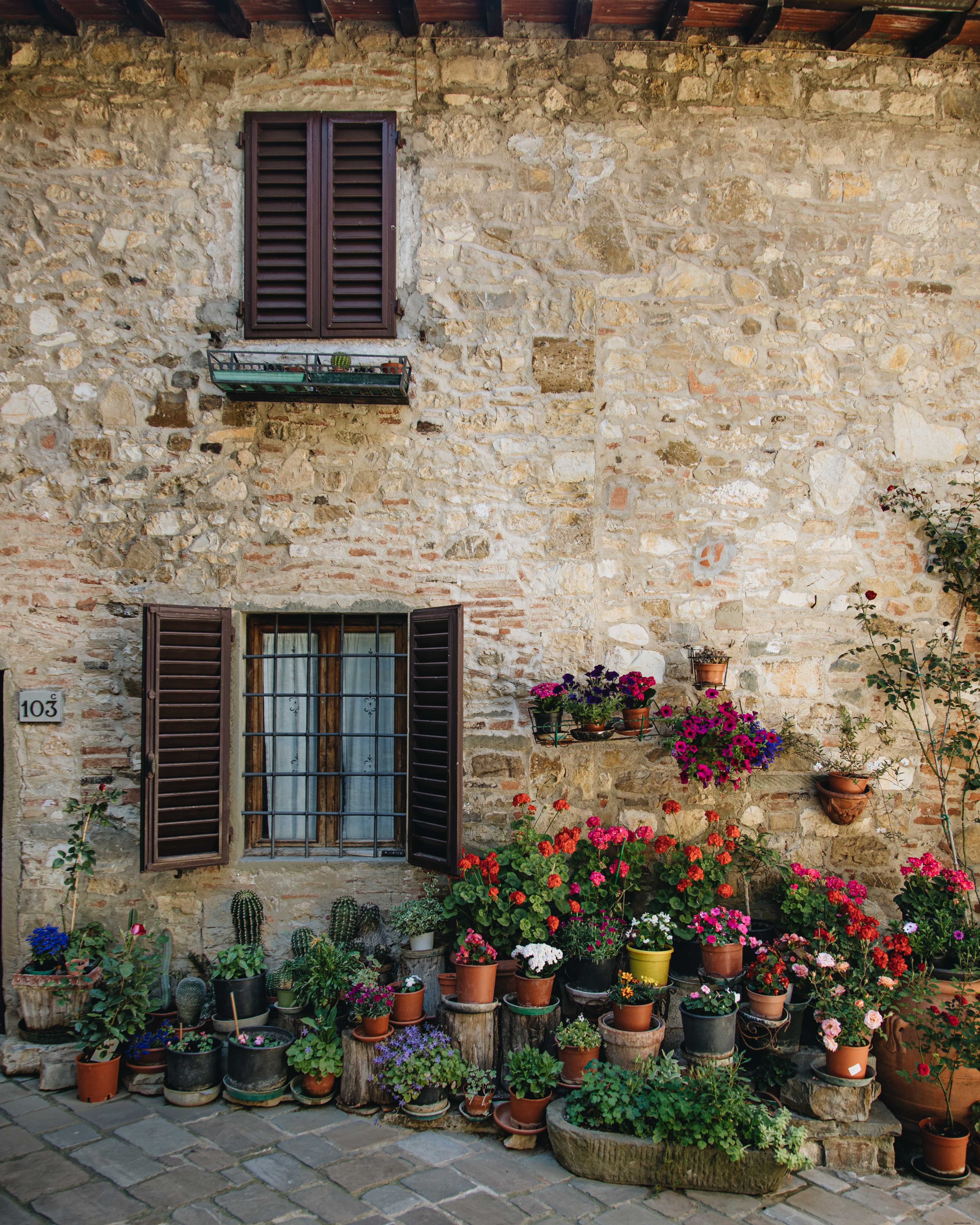 Une cour débordante de plantes – Photo