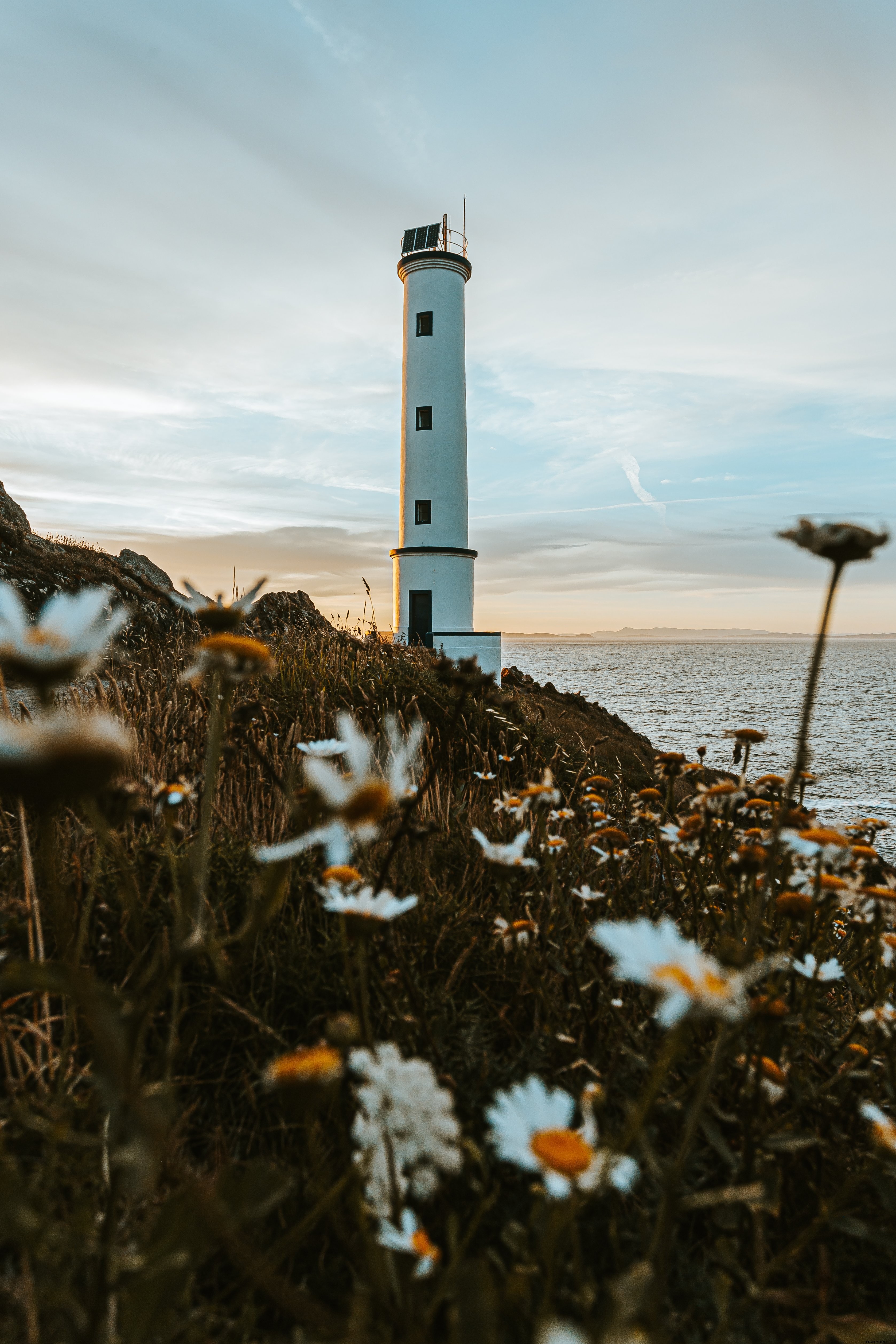 Photo d’un phare entouré de marguerites