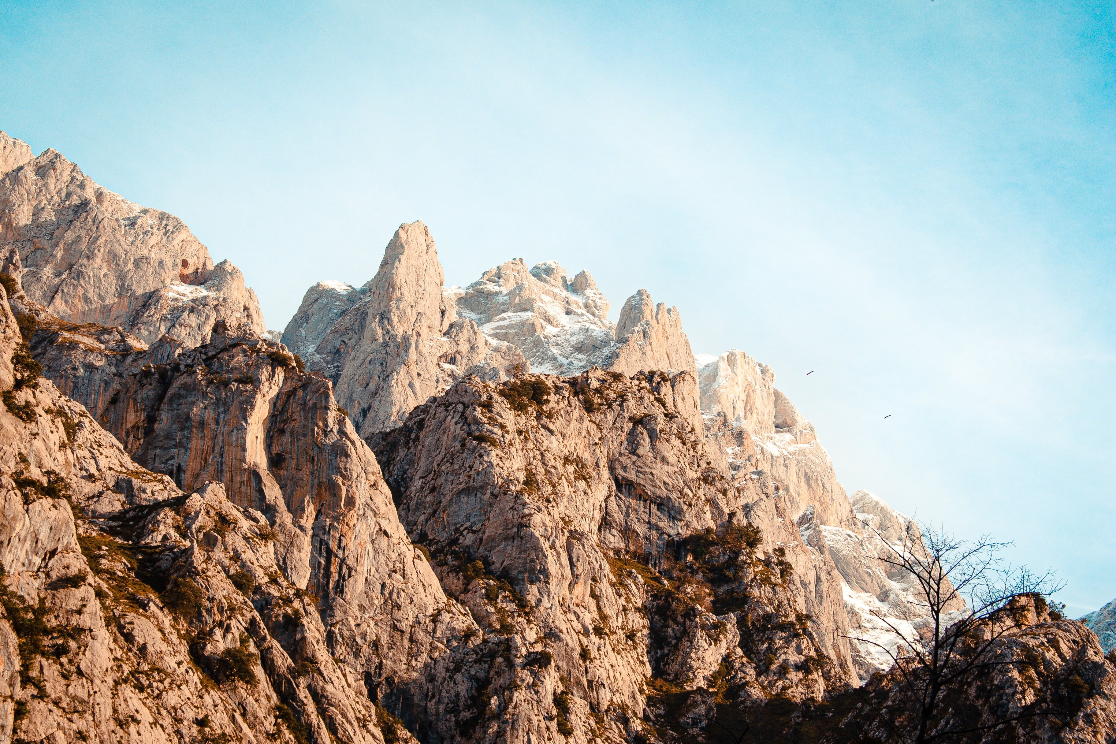 Vue aérienne d oiseaux se dirigeant vers une montagne enneigée