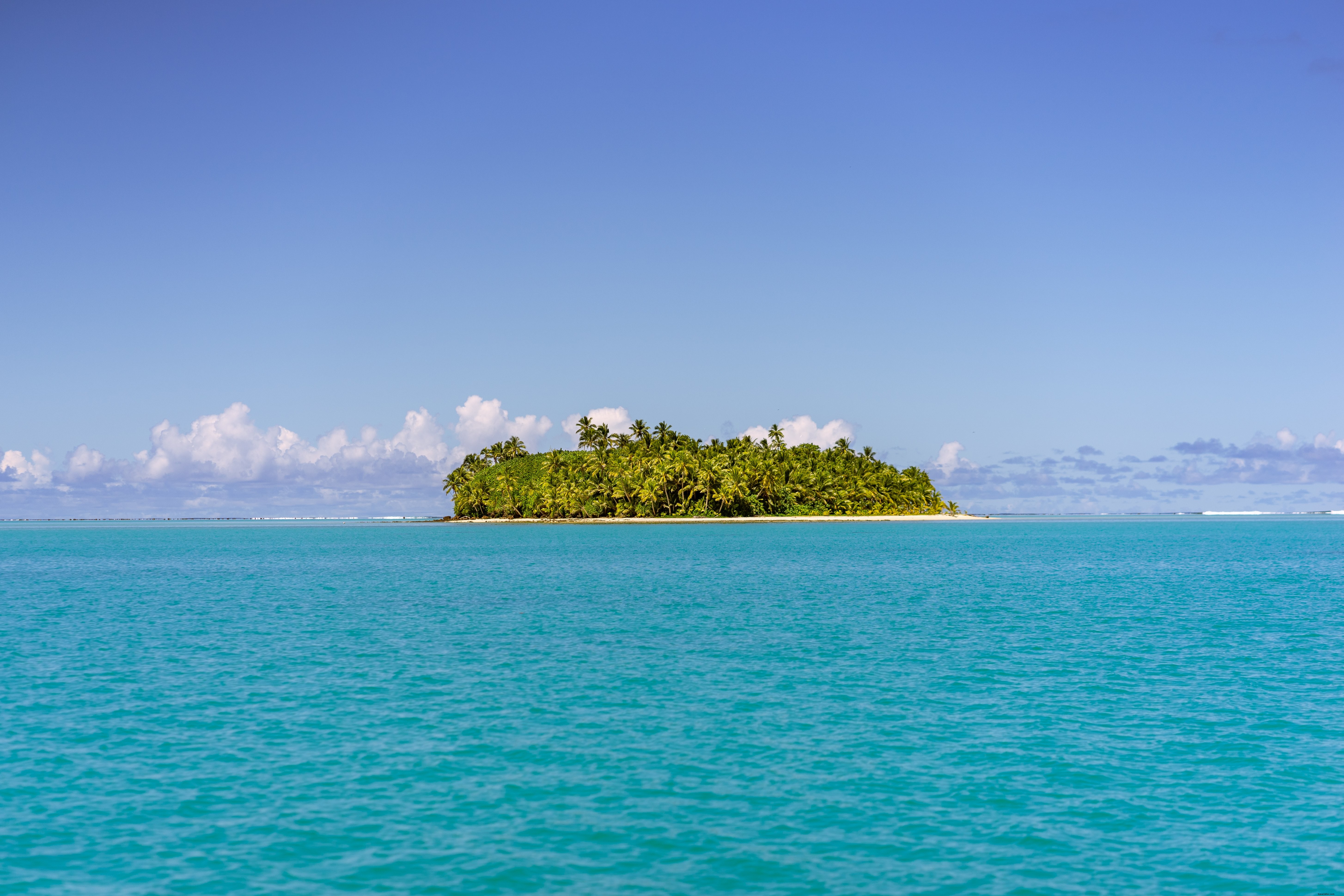 Photo d une île couverte de palmiers