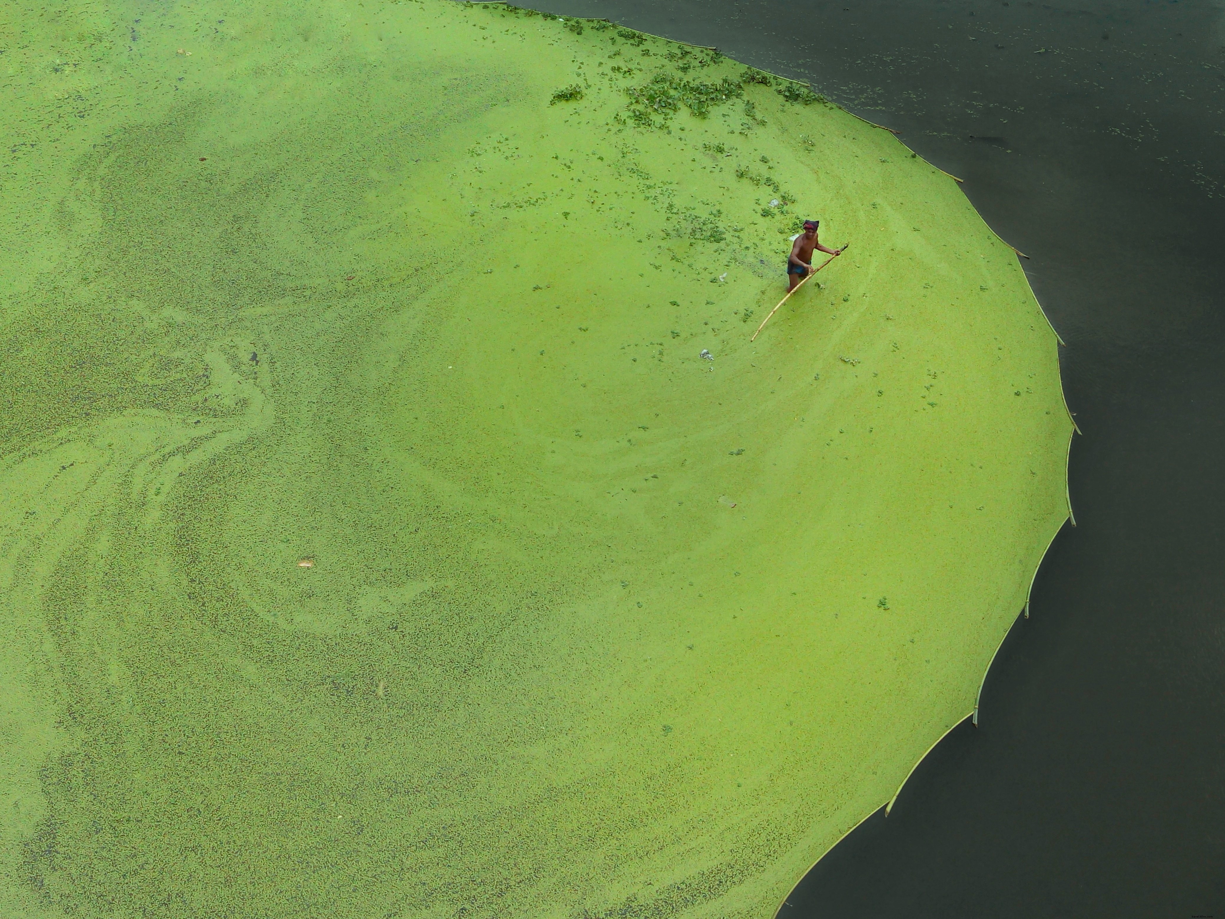 Vue aérienne d’un homme pataugeant dans l’eau