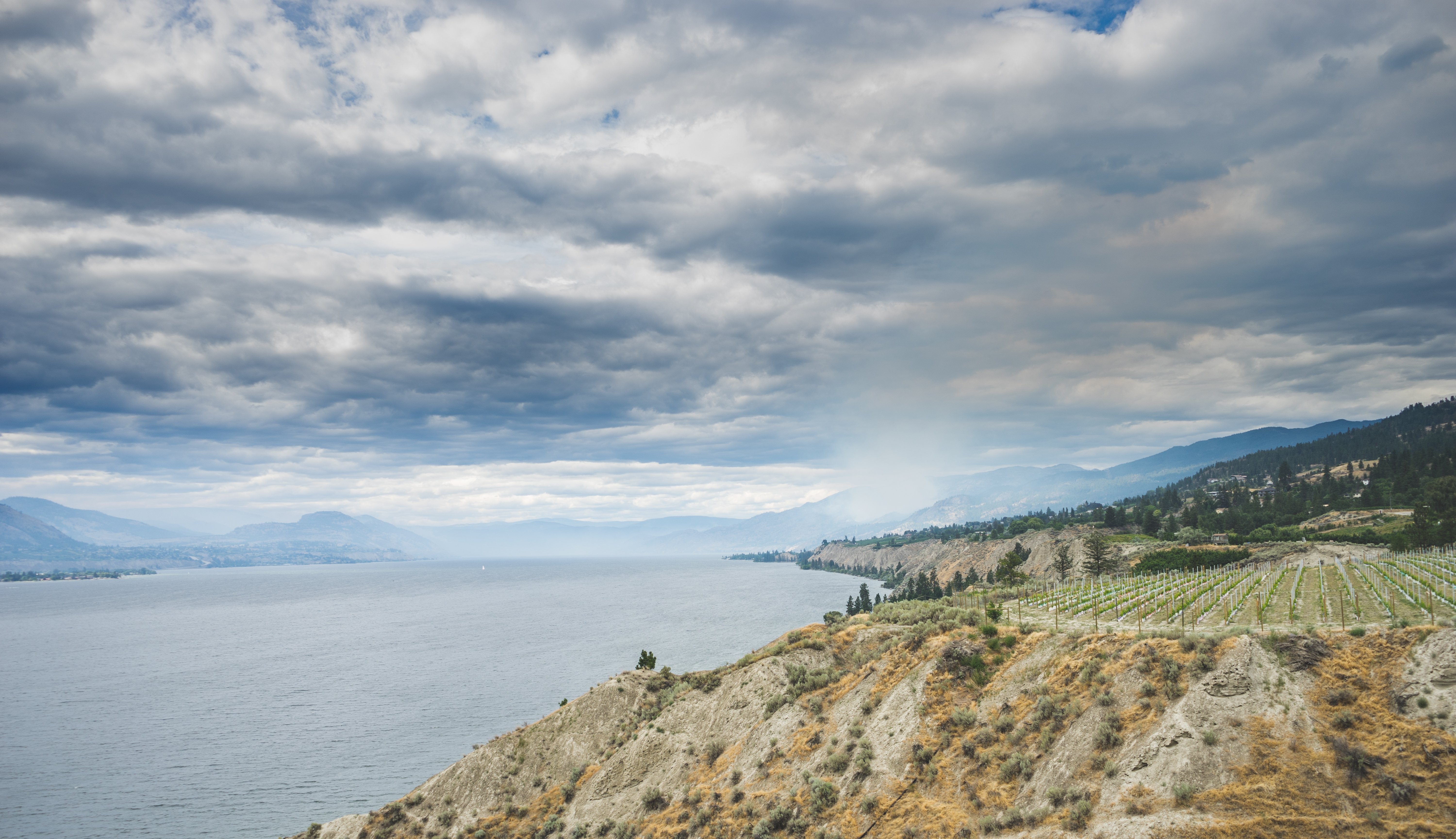 Une vue immersive du lac brumeux
