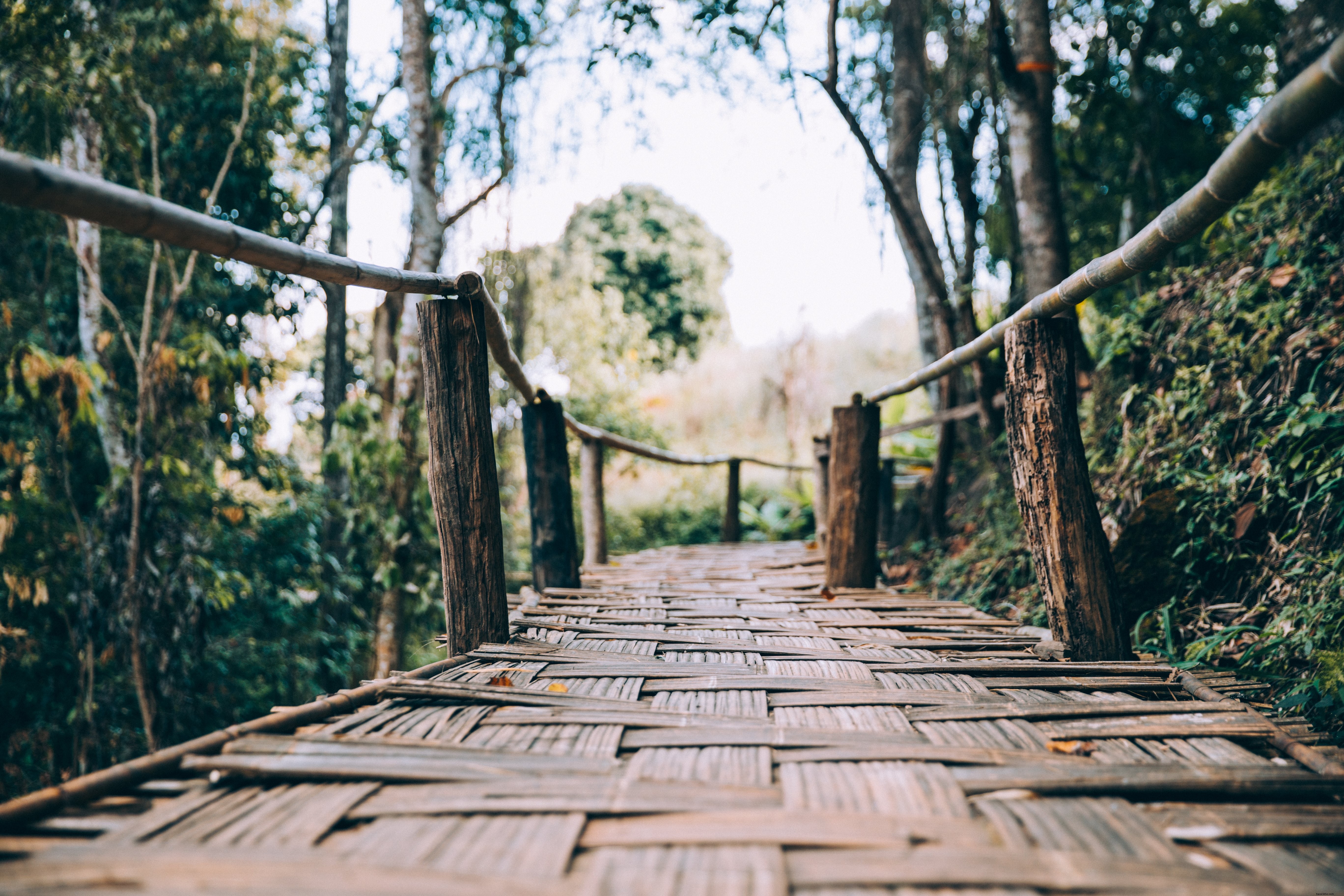 Photo d’un pont piéton en bambou tissé et bois