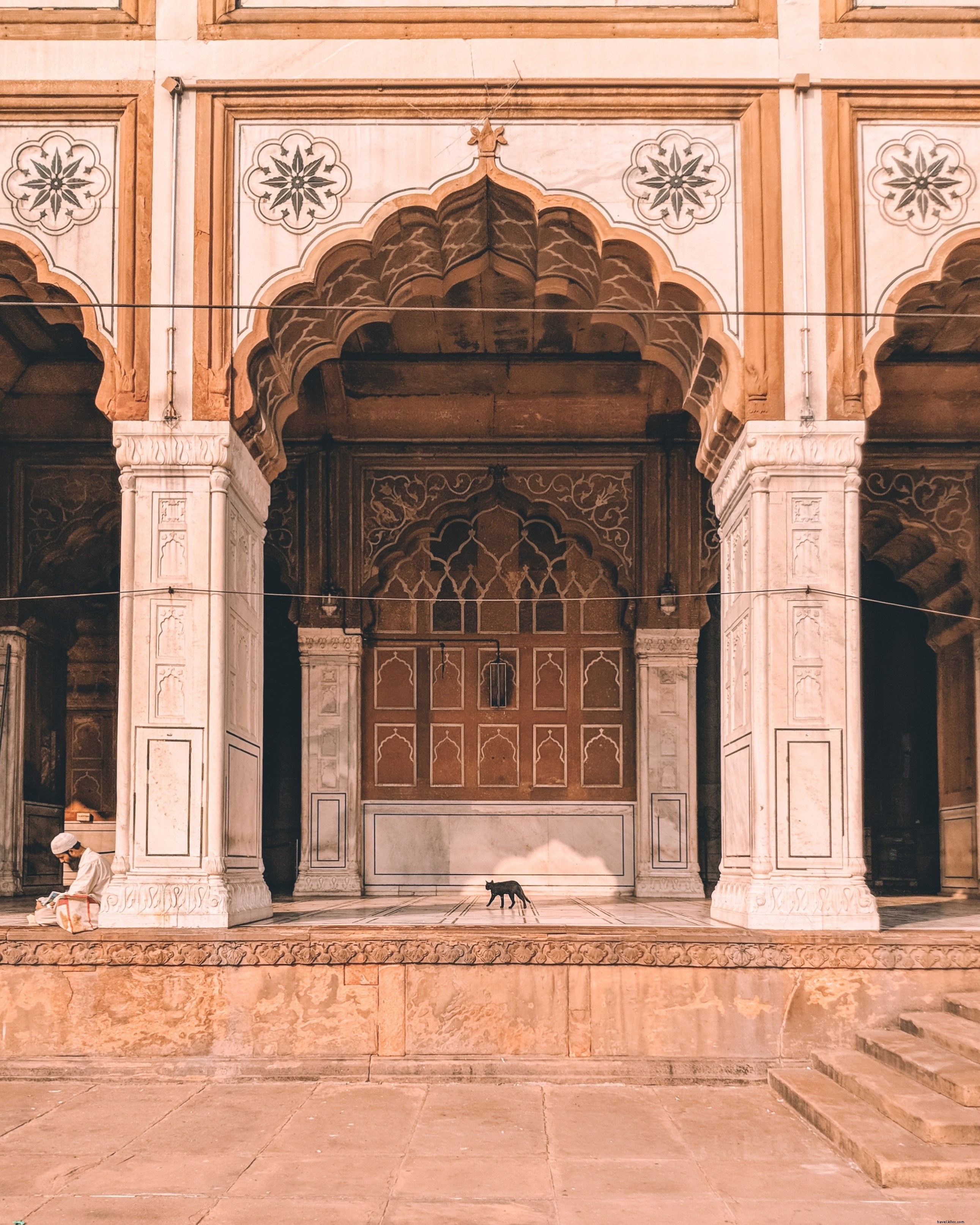 Photo d’un chat marchant sous une arche décorée