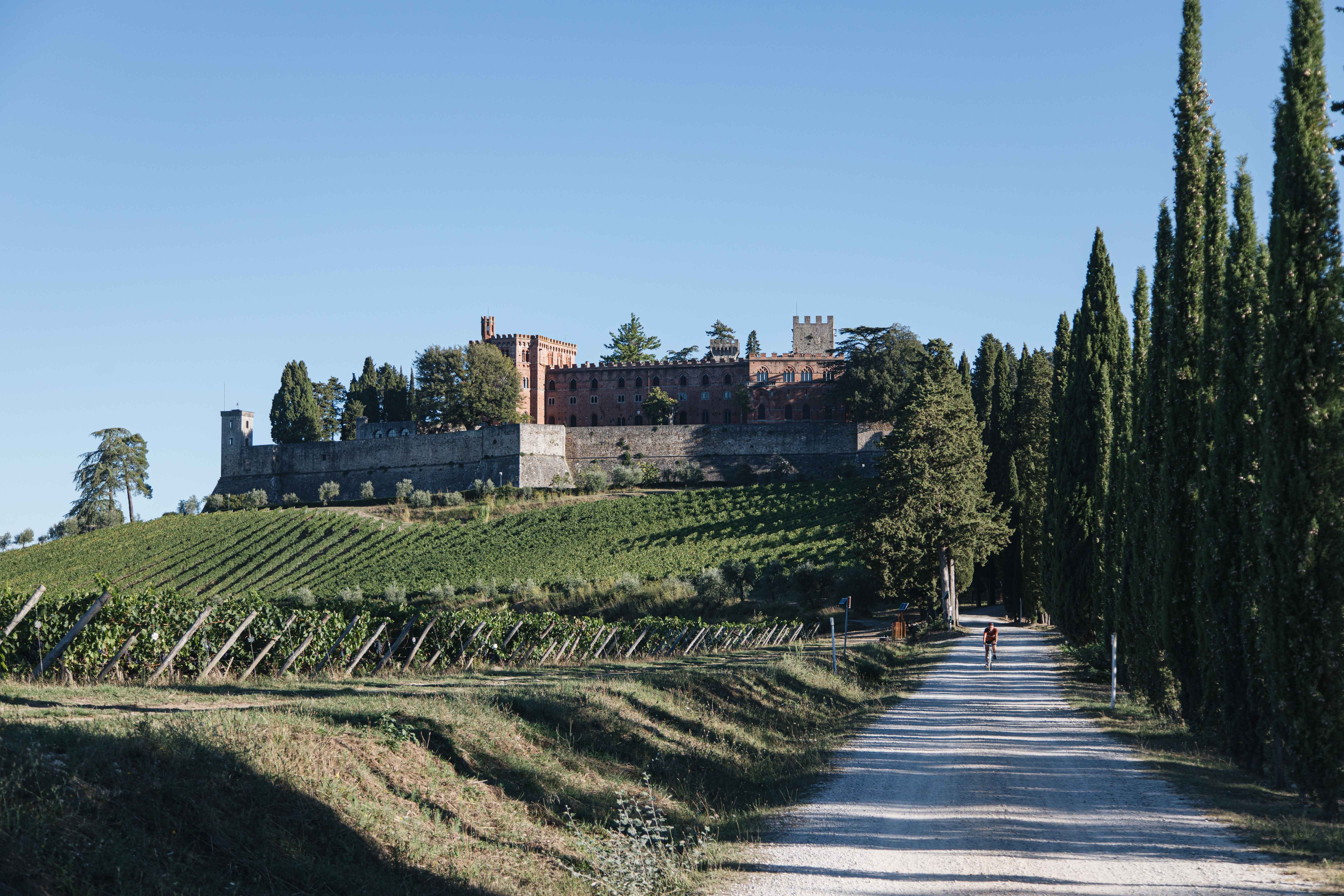 Cycliste à côté d une photo de vignoble