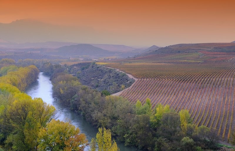 Visiter l Espagne ? Parcourez les paysages du cava en dégustant
