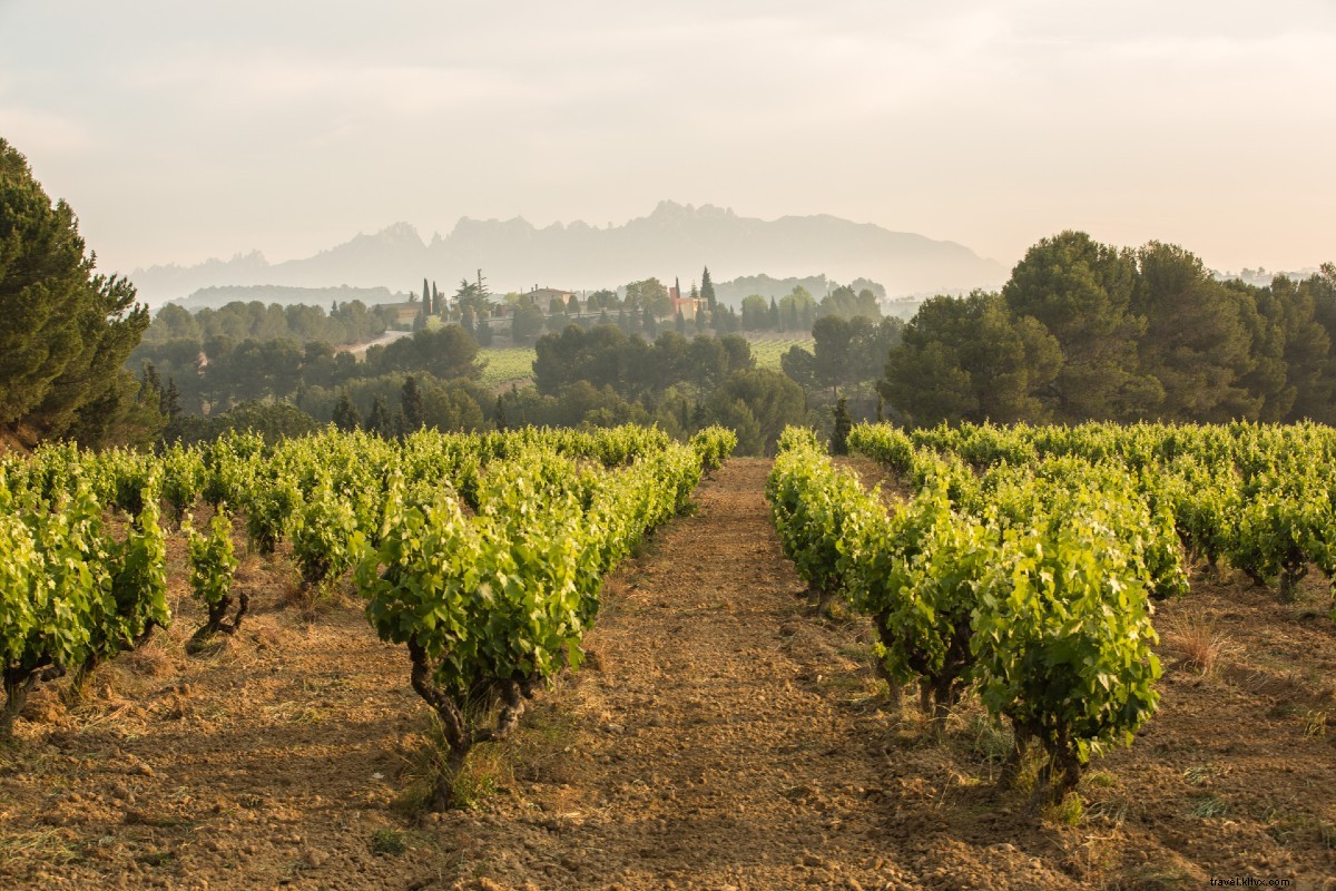 Quoi servir au dîner ? Vacances en Espagne