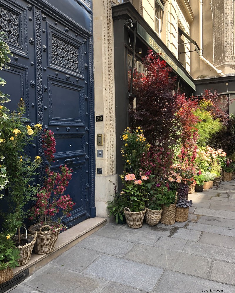 Baguettes, Palais, Pétanque : la promenade ultime du quartier parisien