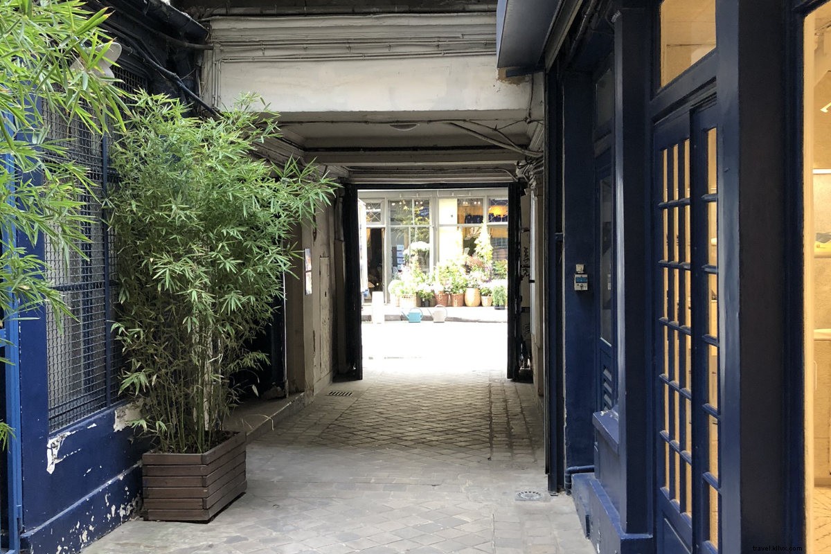 Baguettes, Palais, Pétanque : la promenade ultime du quartier parisien