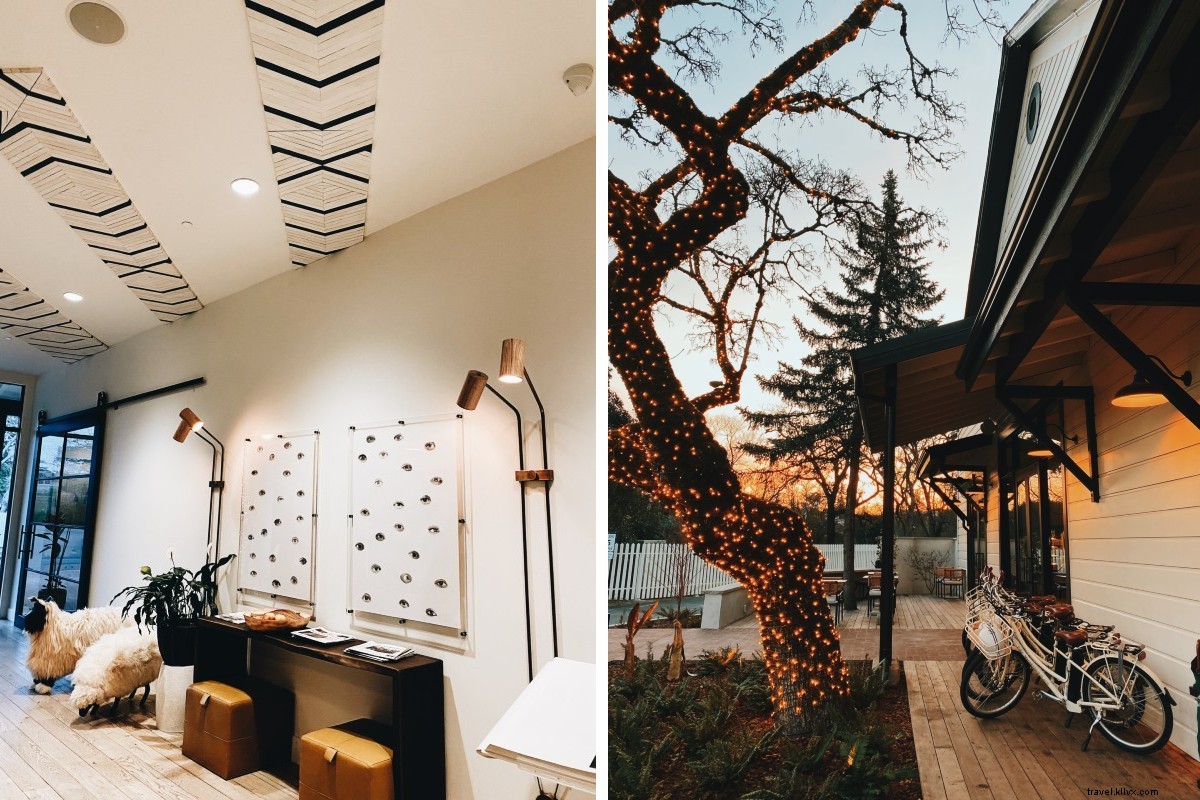 Plongée dans le vin rouge, blanc et le design en Californie viticole