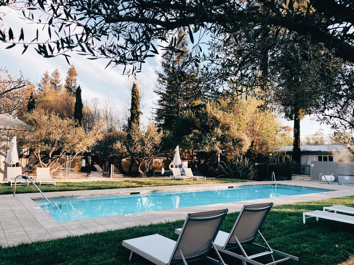 Plongée dans le vin rouge, blanc et le design en Californie viticole