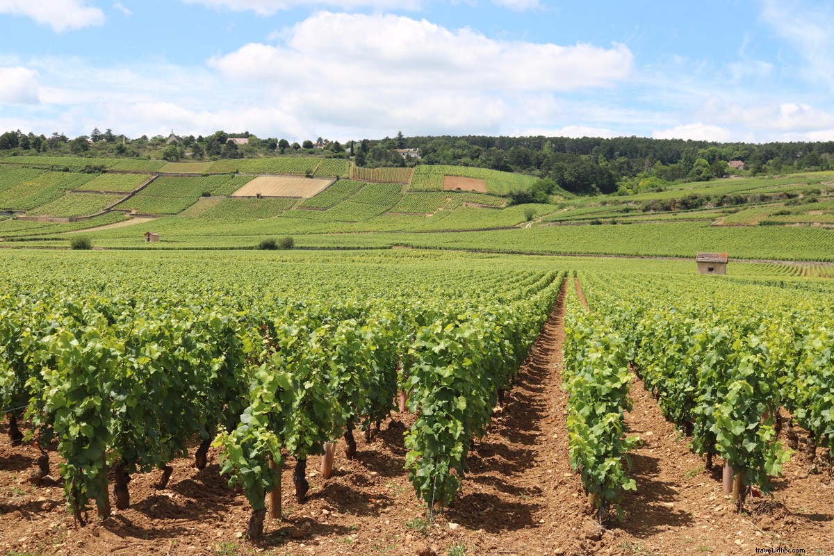 Vélo, vin et détente en Bourgogne