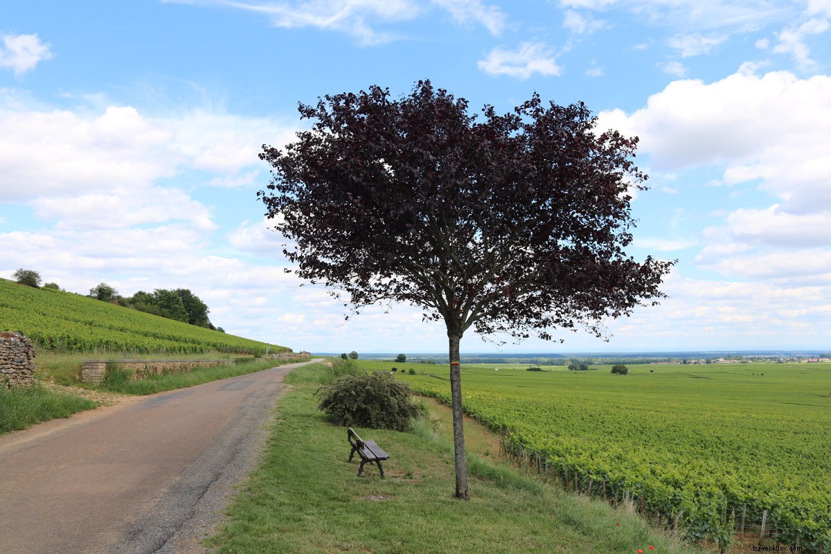 Vélo, vin et détente en Bourgogne