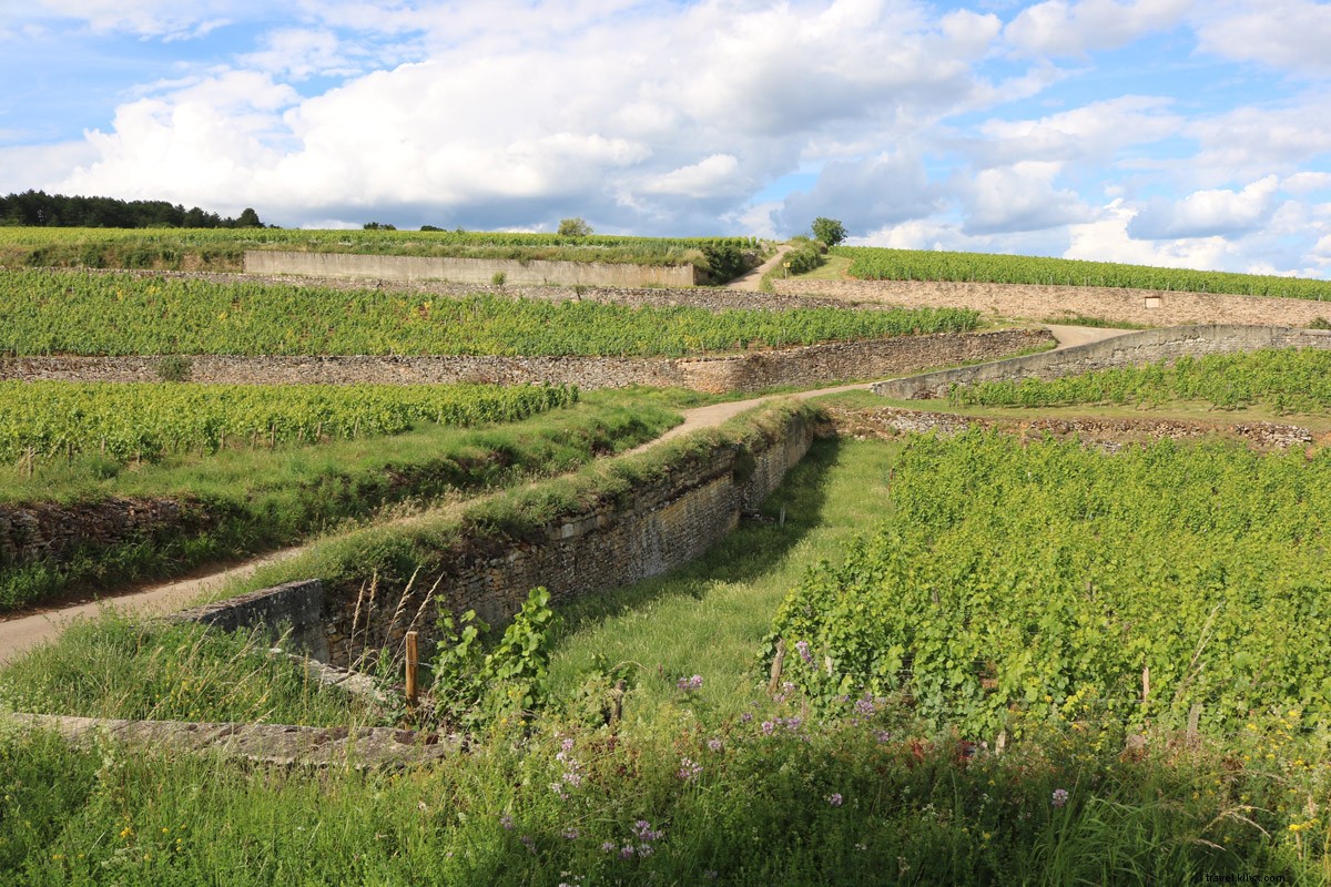 Vélo, vin et détente en Bourgogne