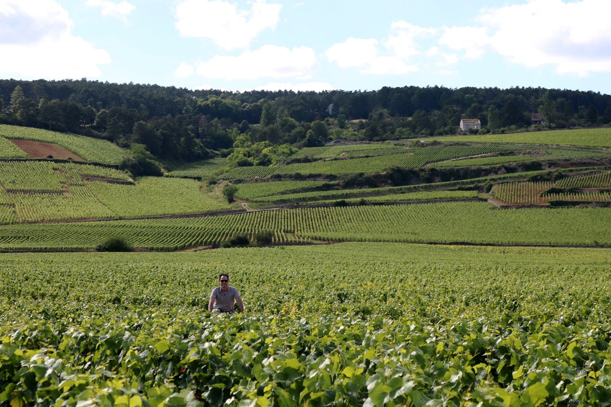 Vélo, vin et détente en Bourgogne