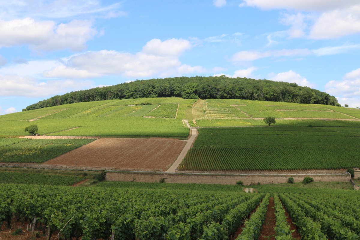 Vélo, vin et détente en Bourgogne