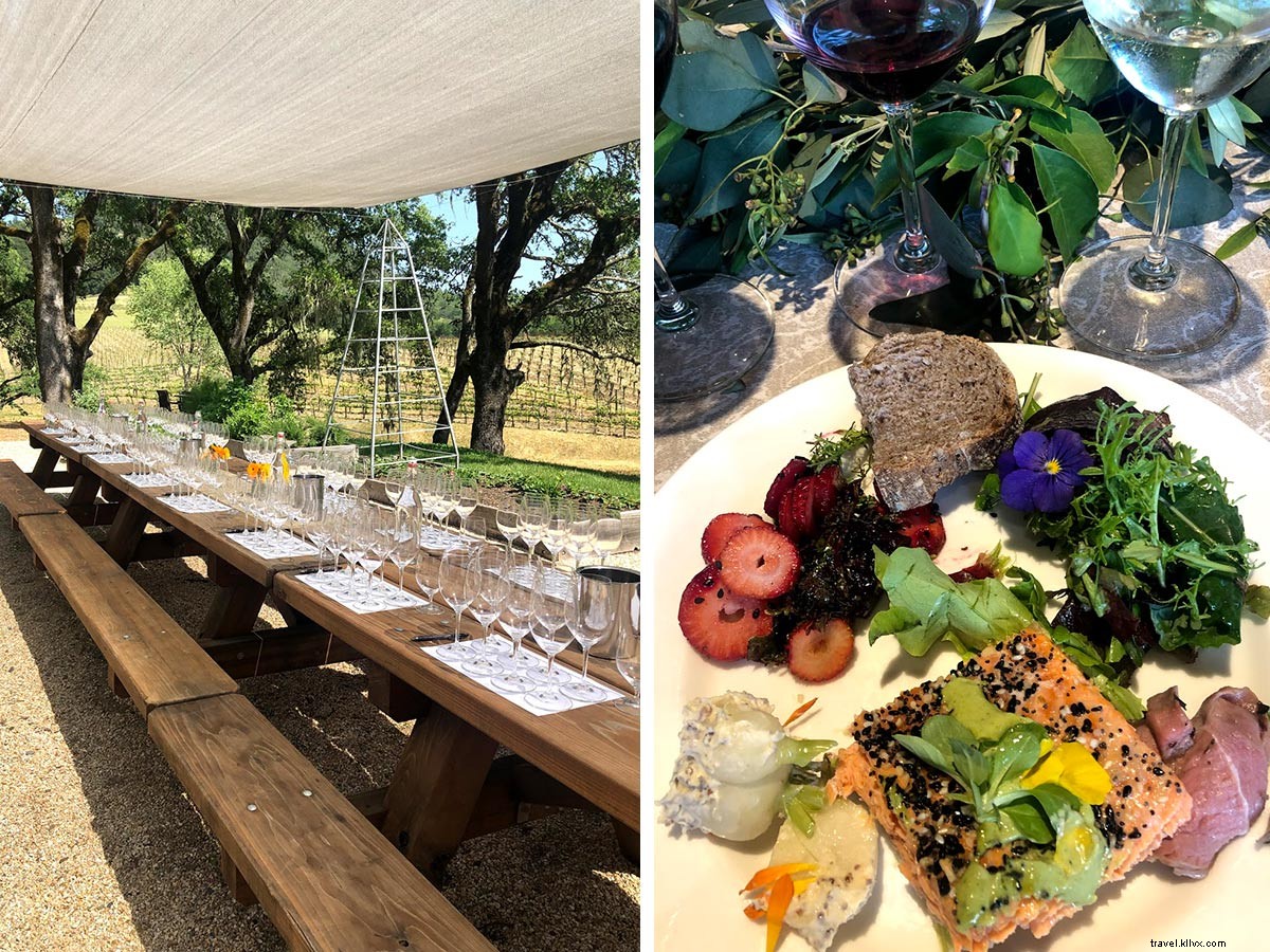 Dégustation durable : guide des vigneronnes du comté de Sonoma