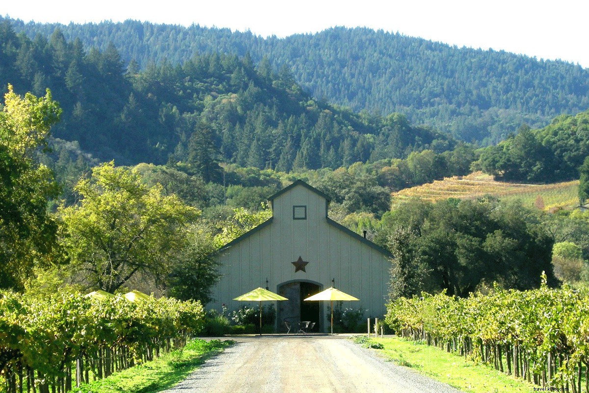 Dégustation durable : guide des vigneronnes du comté de Sonoma