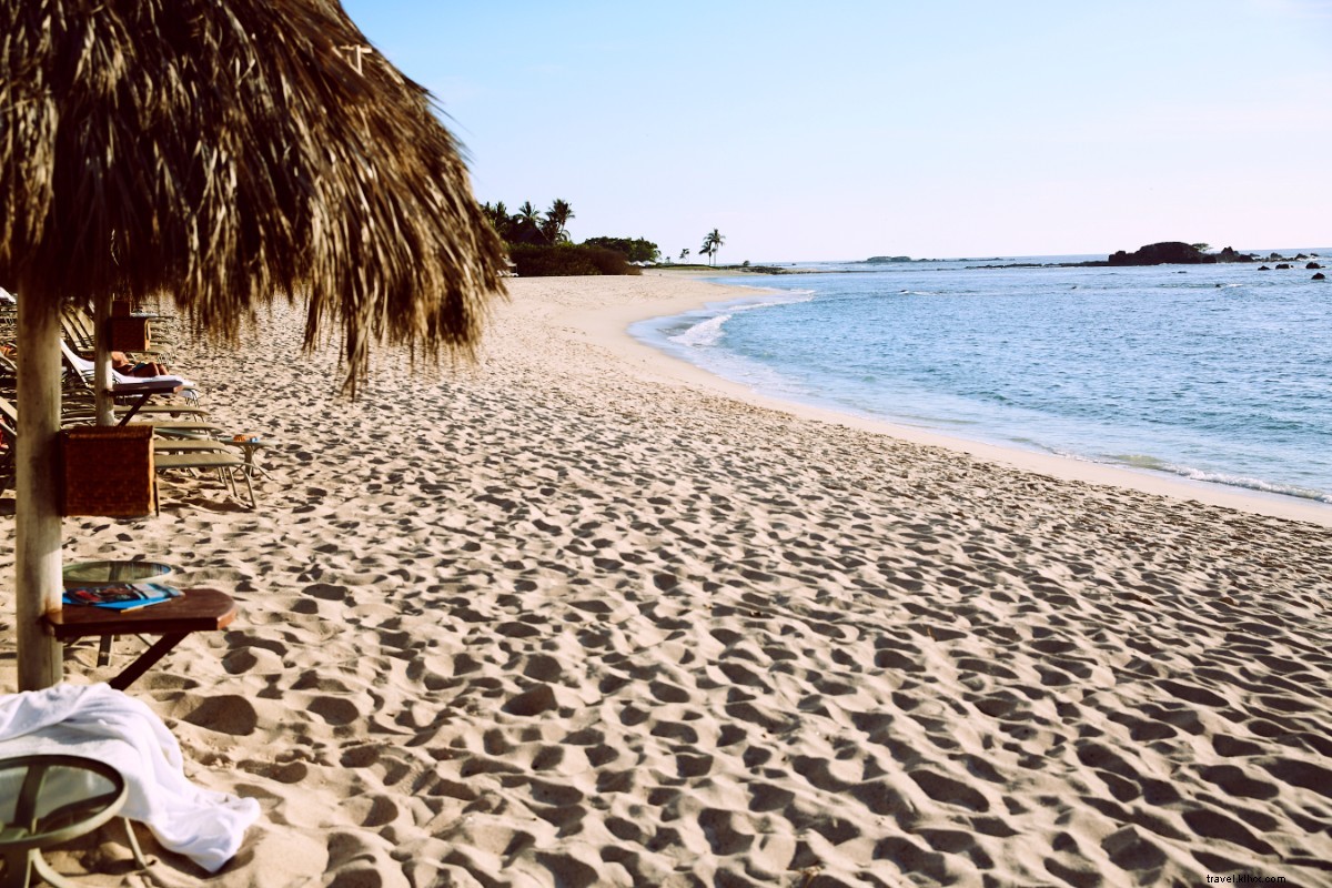 De la mer à l’assiette à Punta Mita : les fruits de mer brillent sur la côte Pacifique du Mexique