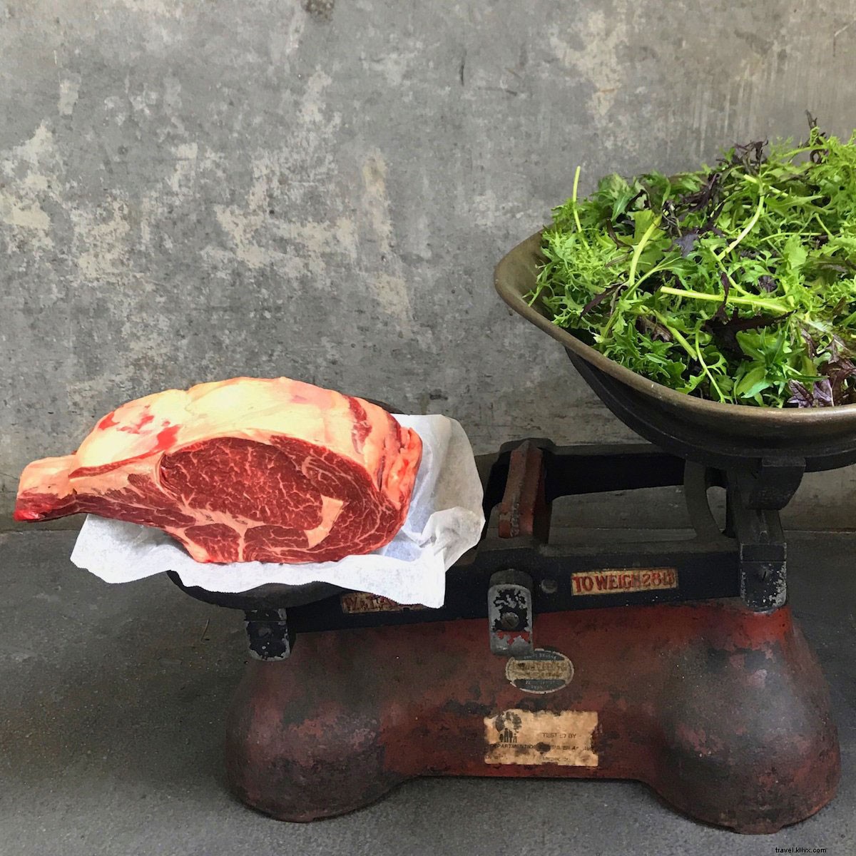 Guide local de Marrickville, la banlieue la plus cool de Sydney