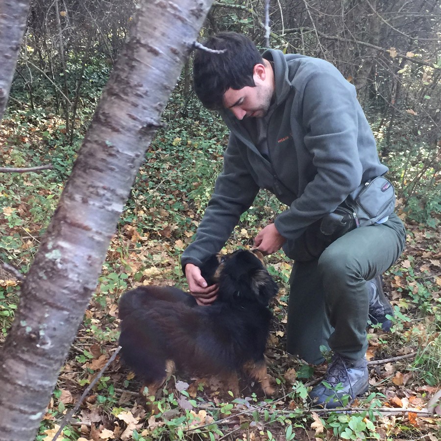 Chasser les truffes avec des chiens et dénicher de l’or sous la terre croate