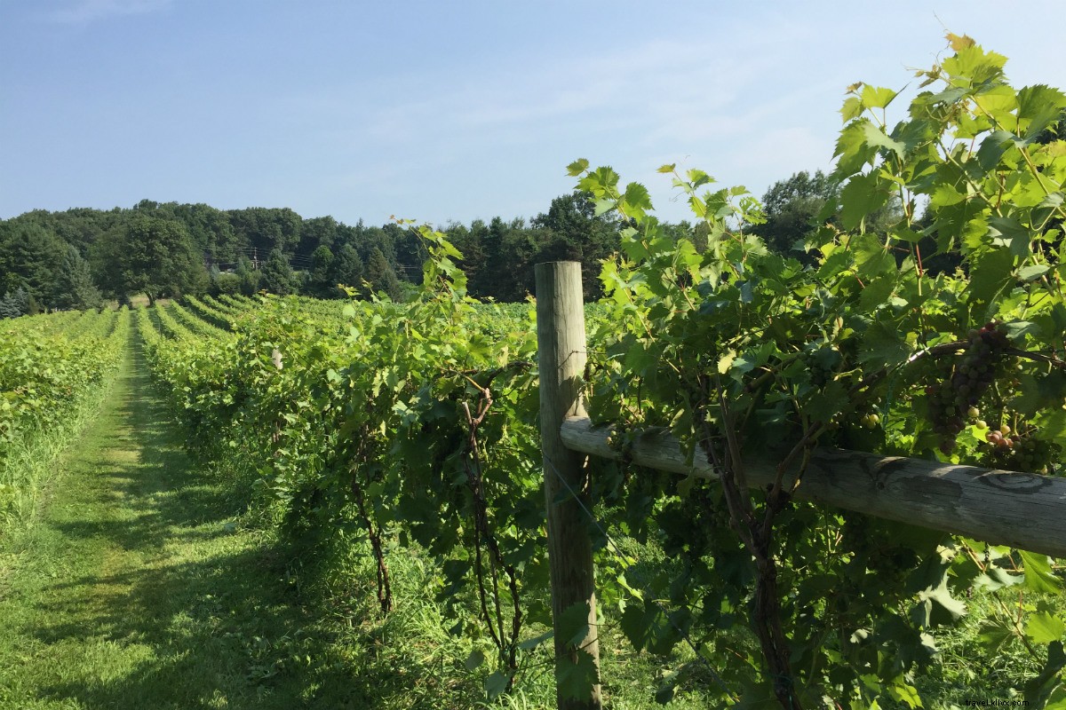 Découverte des boissons artisanales autour de Gettysburg