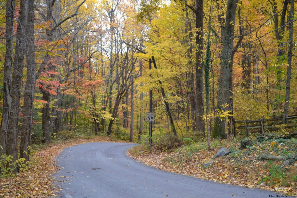 Découverte des boissons artisanales autour de Gettysburg