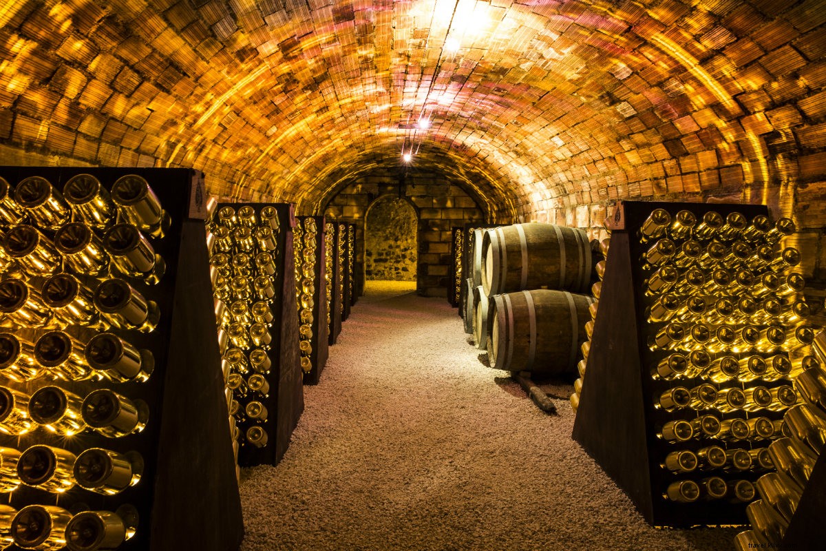 Explorez — et buvez ! — Le champagne comme un vigneron