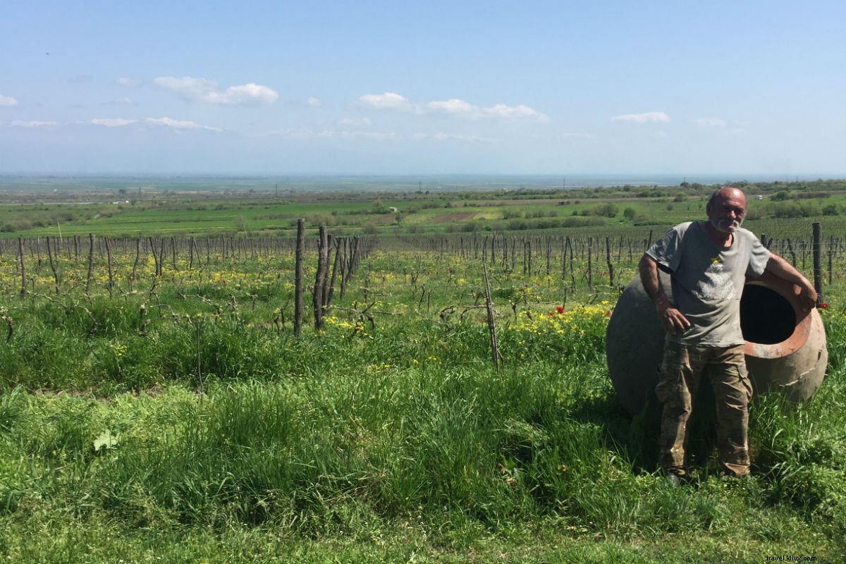 Nus et sauvages : la viticulture 100 % naturelle en Géorgie