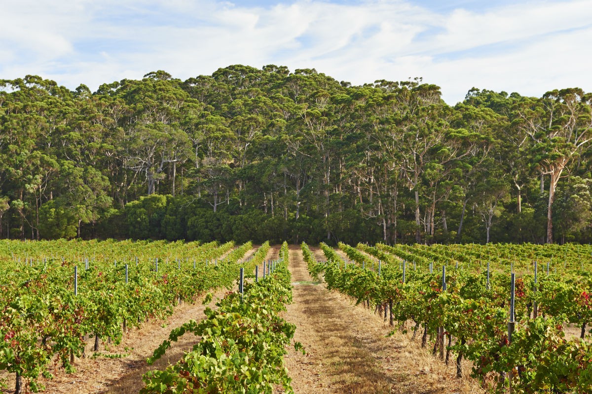 Découvrez la gastronomie de l Australie-Occidentale, la côte Ouest
