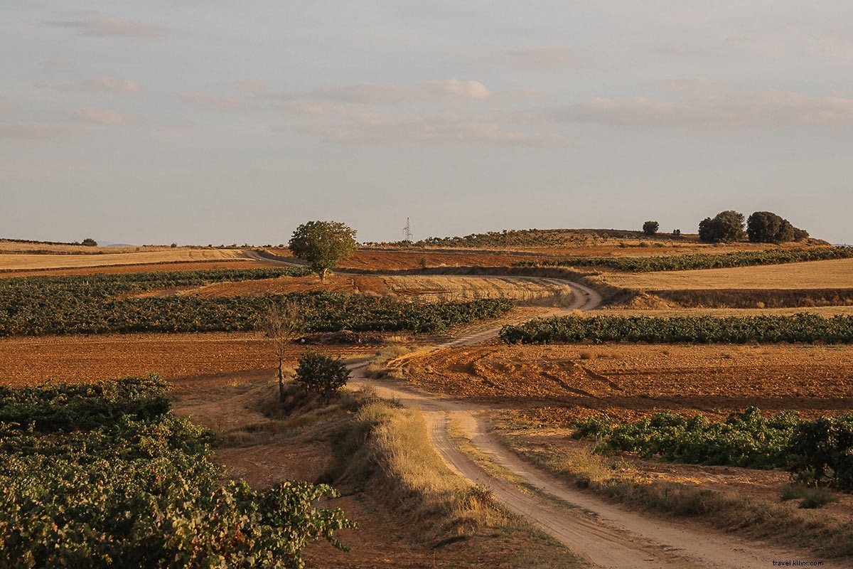 Évadez‑vous dans les vignobles espagnols de Ribera del Duero et Rueda