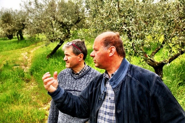 Cette quête a-t-elle révélé la meilleure huile d olive d Italie ?