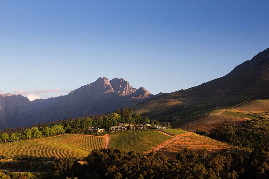 Guide du débutant pour explorer les vignobles du Cap