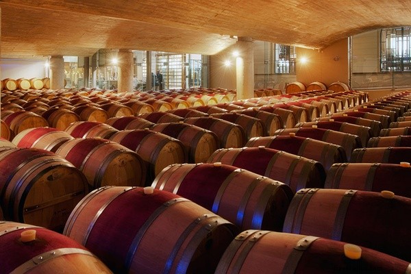Guide du débutant pour explorer les vignobles du Cap