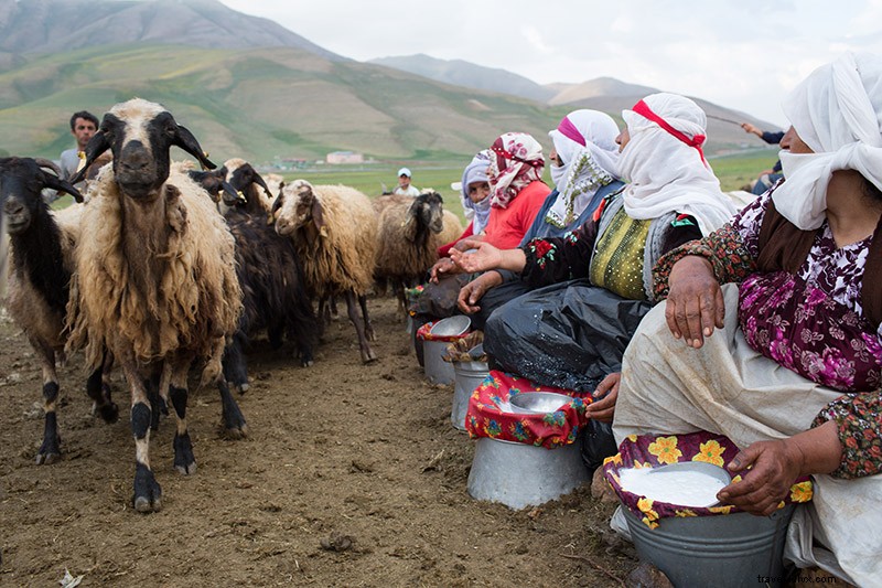 Les femmes laitières de Van, en Turquie