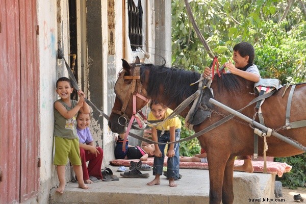 Anthropologie culinaire à Gaza
