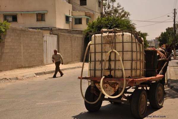 Anthropologie culinaire à Gaza