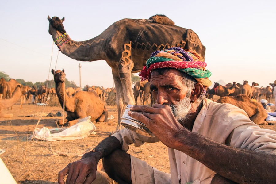 Chai au lait de chameau à Pushkar