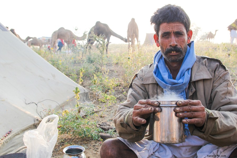 Chai au lait de chameau à Pushkar